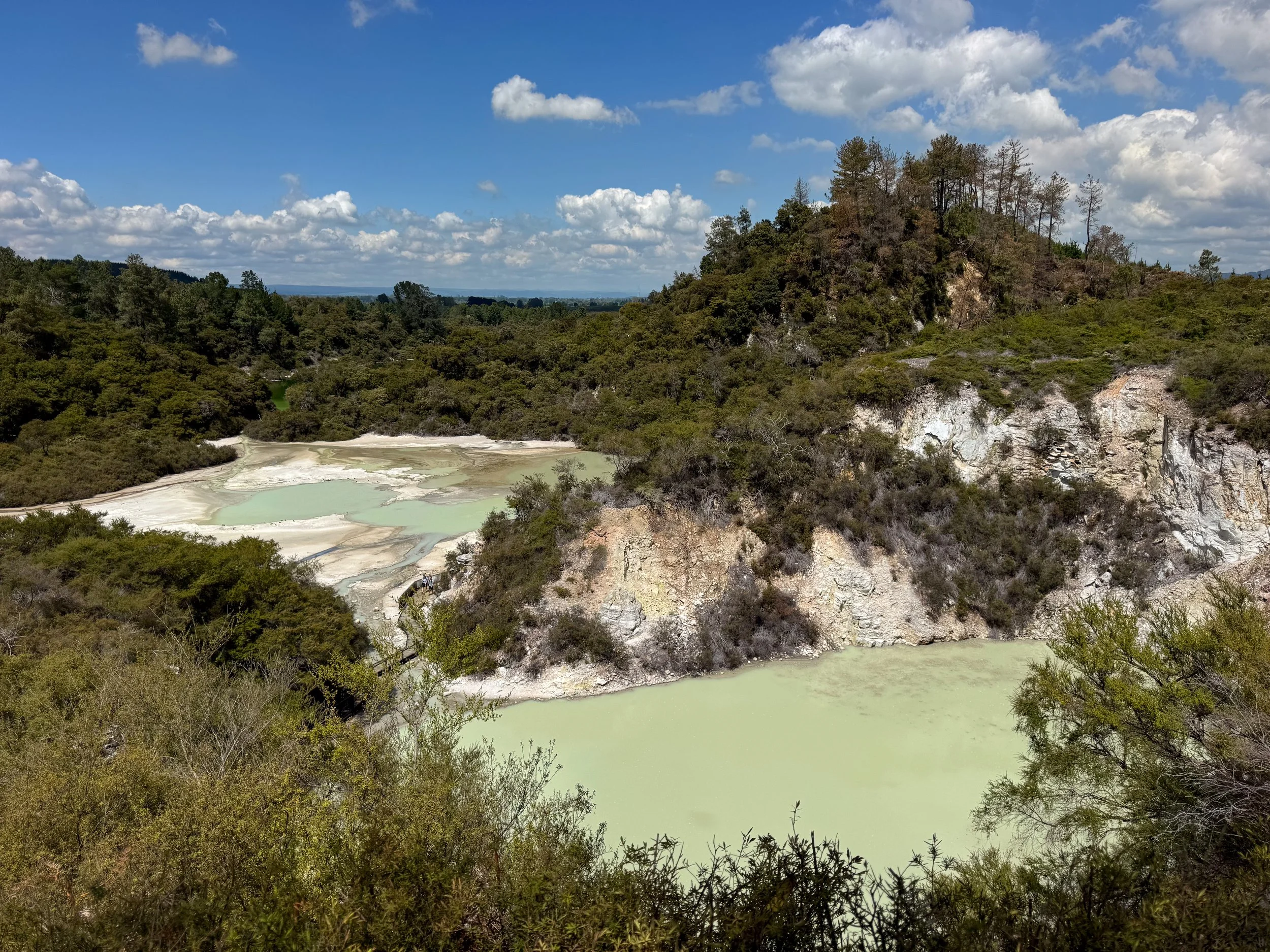 Waiotapu_Thermal_Wonderland_16.jpg
