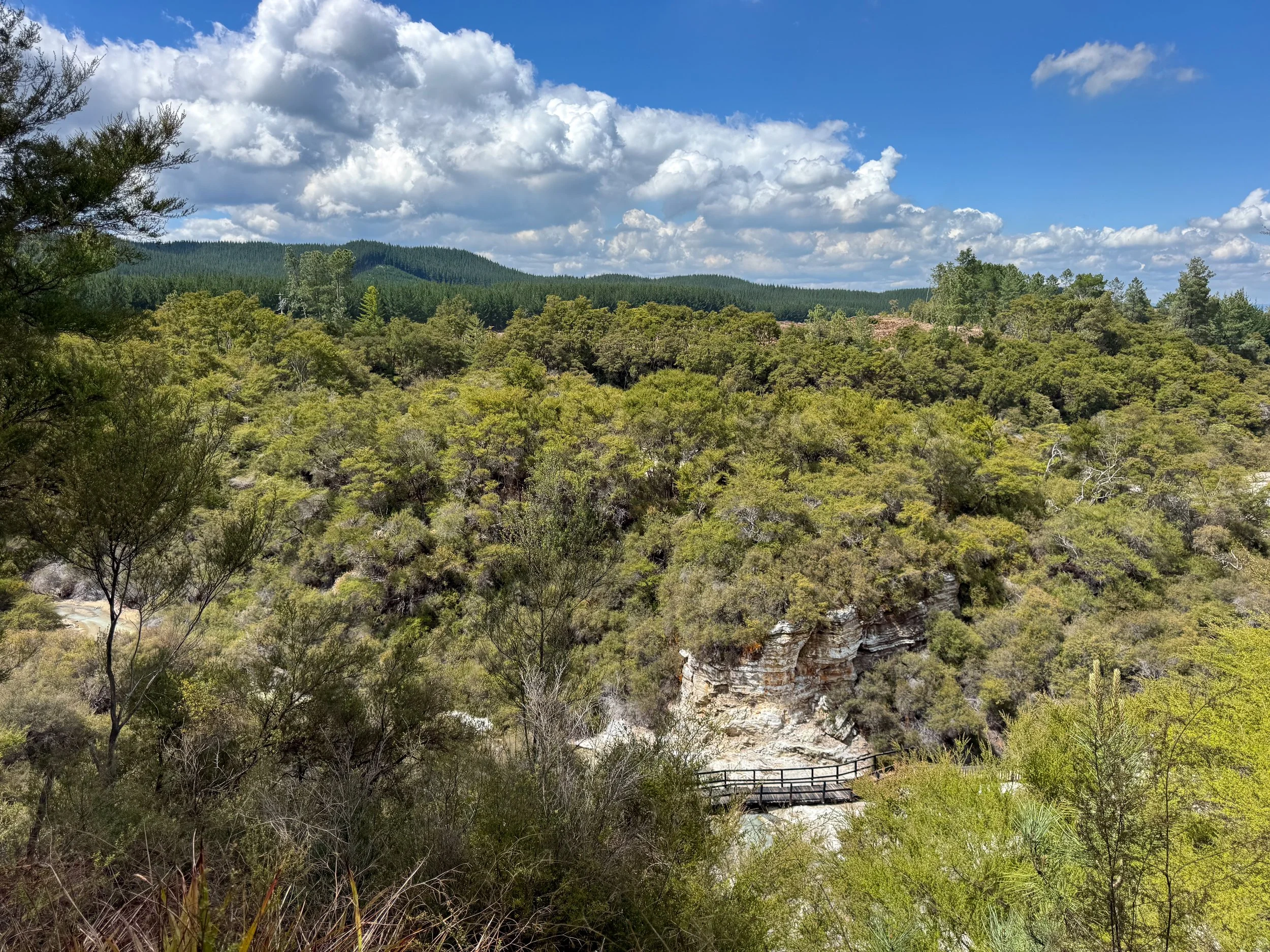Waiotapu_Thermal_Wonderland_18.jpg