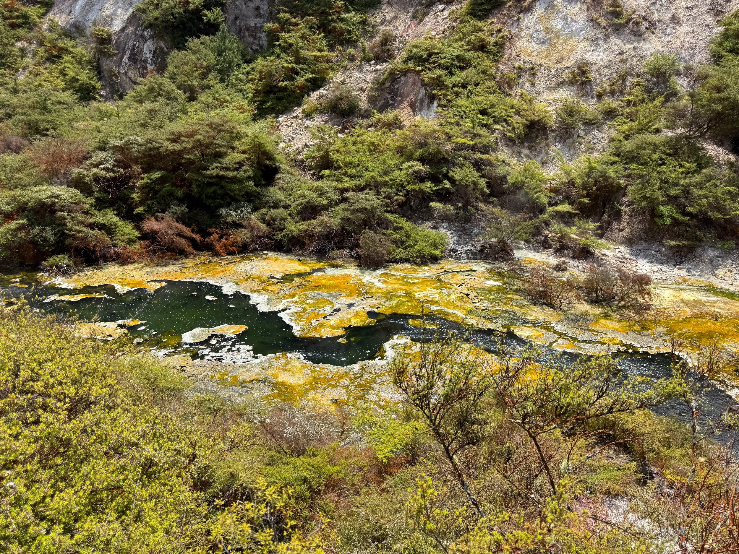 Waimangu_Volcanic_Valley_09.jpg