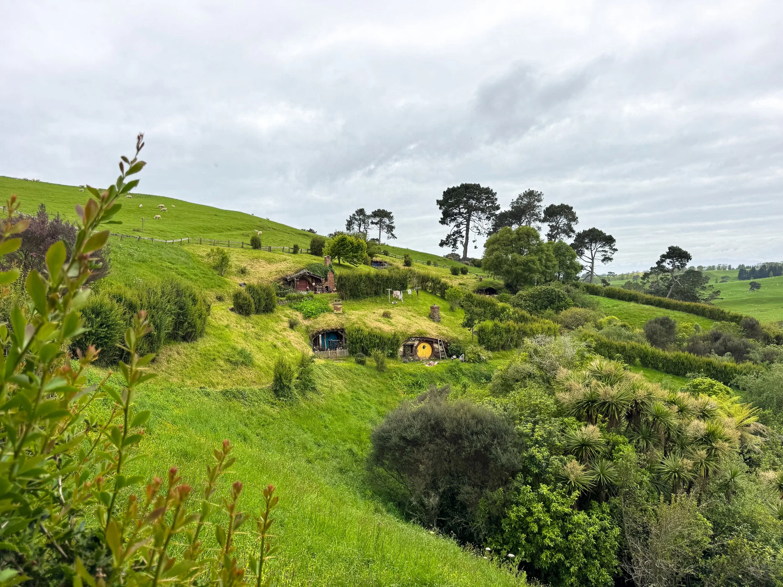 Hobbiton_Movie_Set_08.jpg