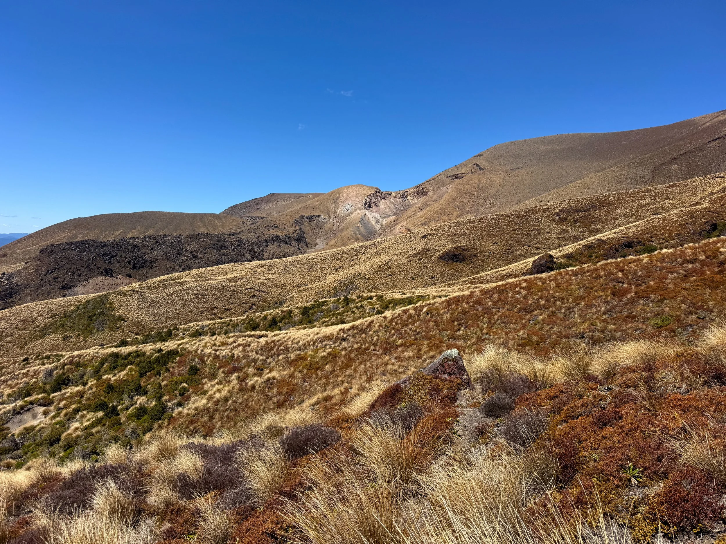 Tongariro_Alpine_Crossing_25.jpg