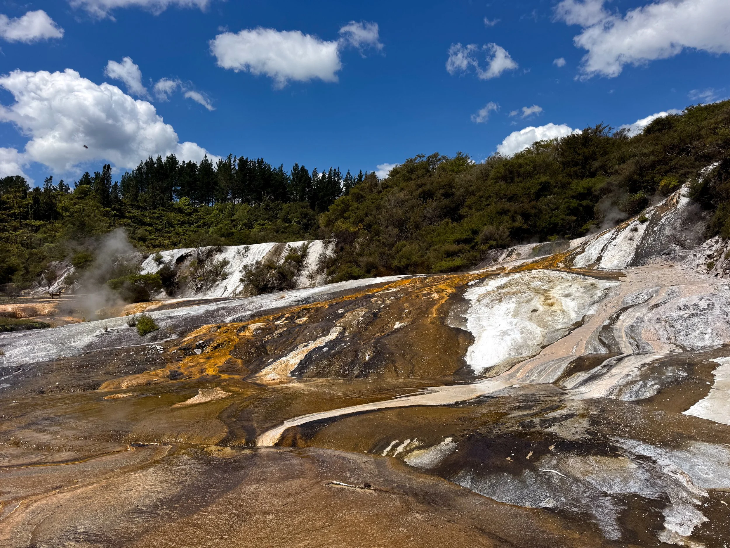Orakei_Korako_Cave_and_Thermal_Park_03.jpg
