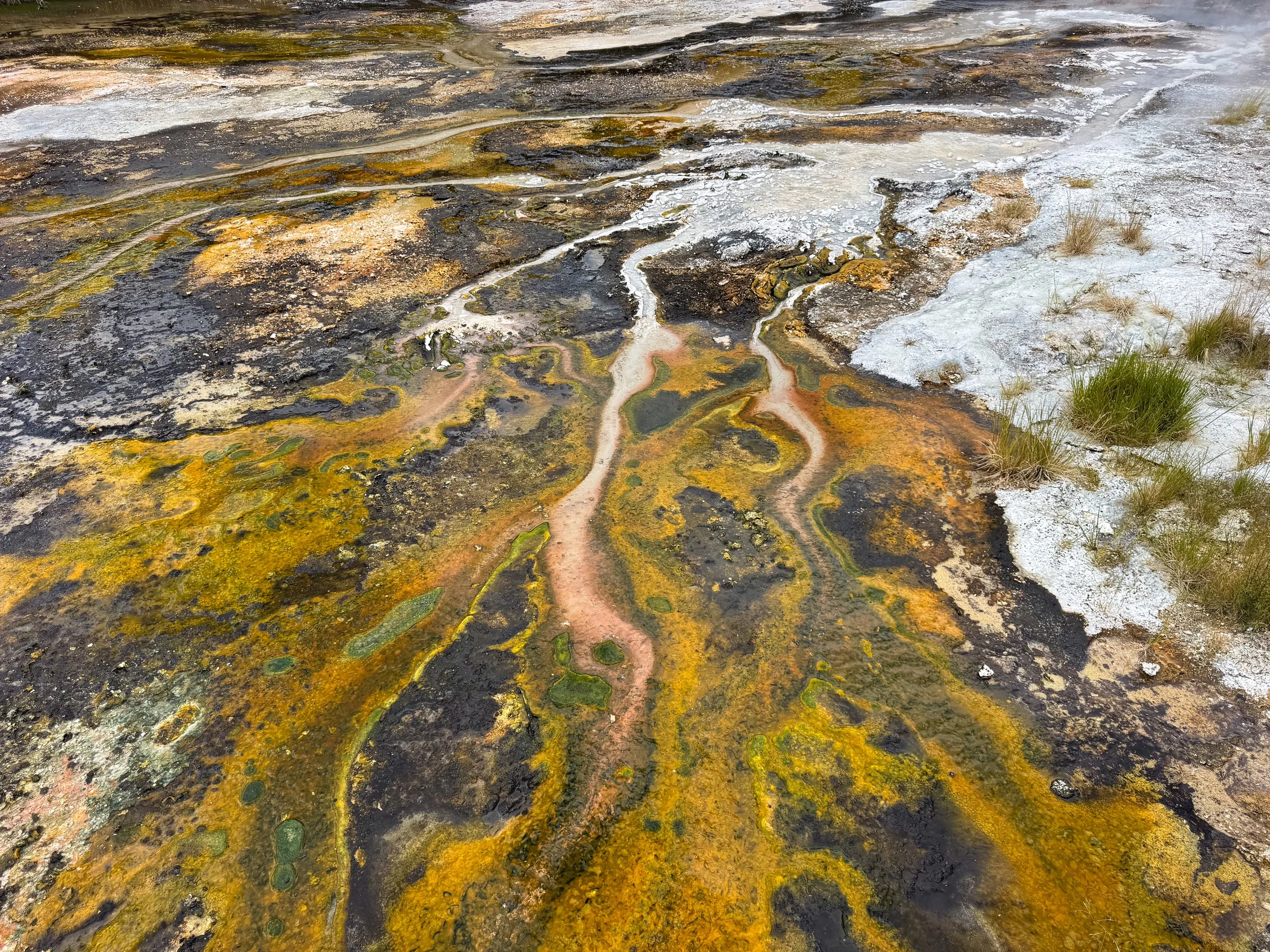Orakei_Korako_Cave_and_Thermal_Park_05.jpg