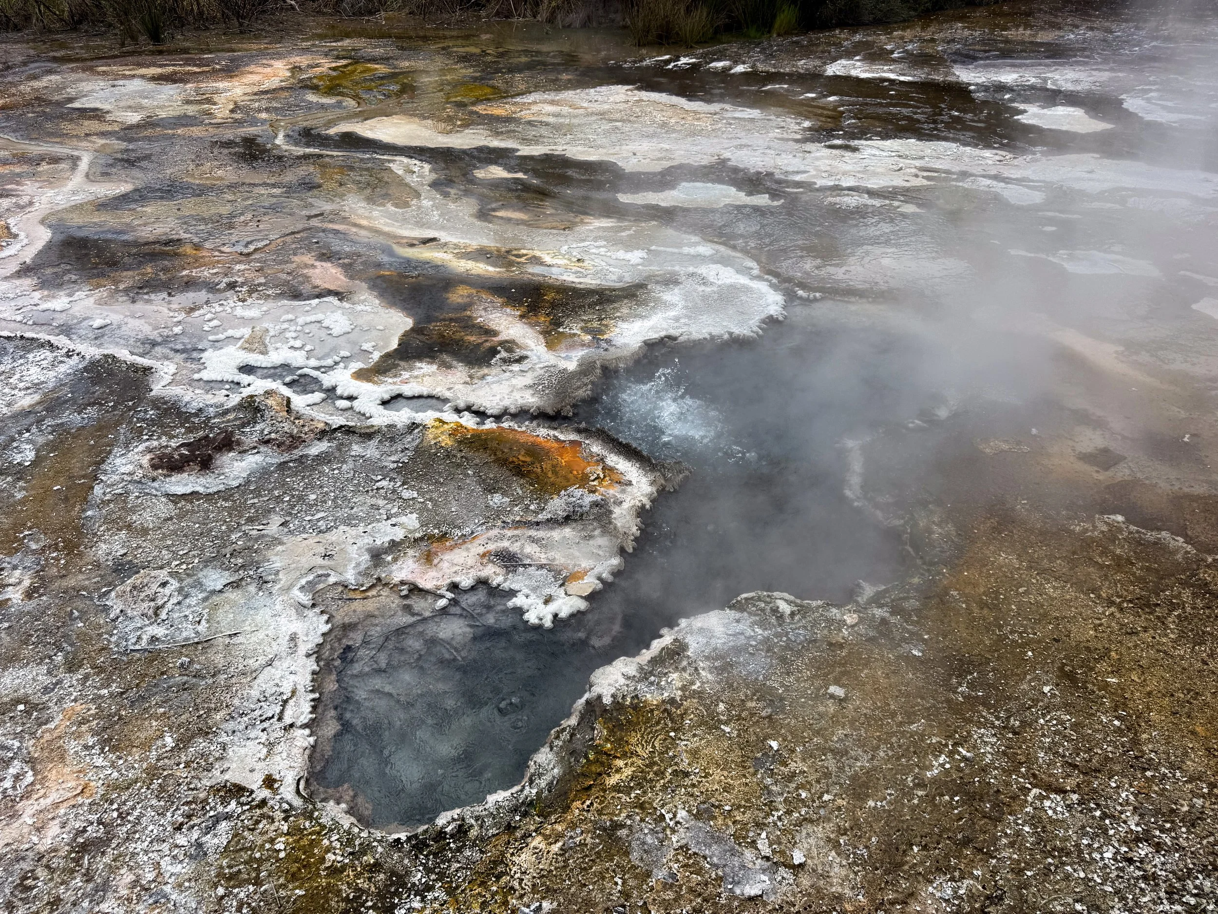 Orakei_Korako_Cave_and_Thermal_Park_06.jpg