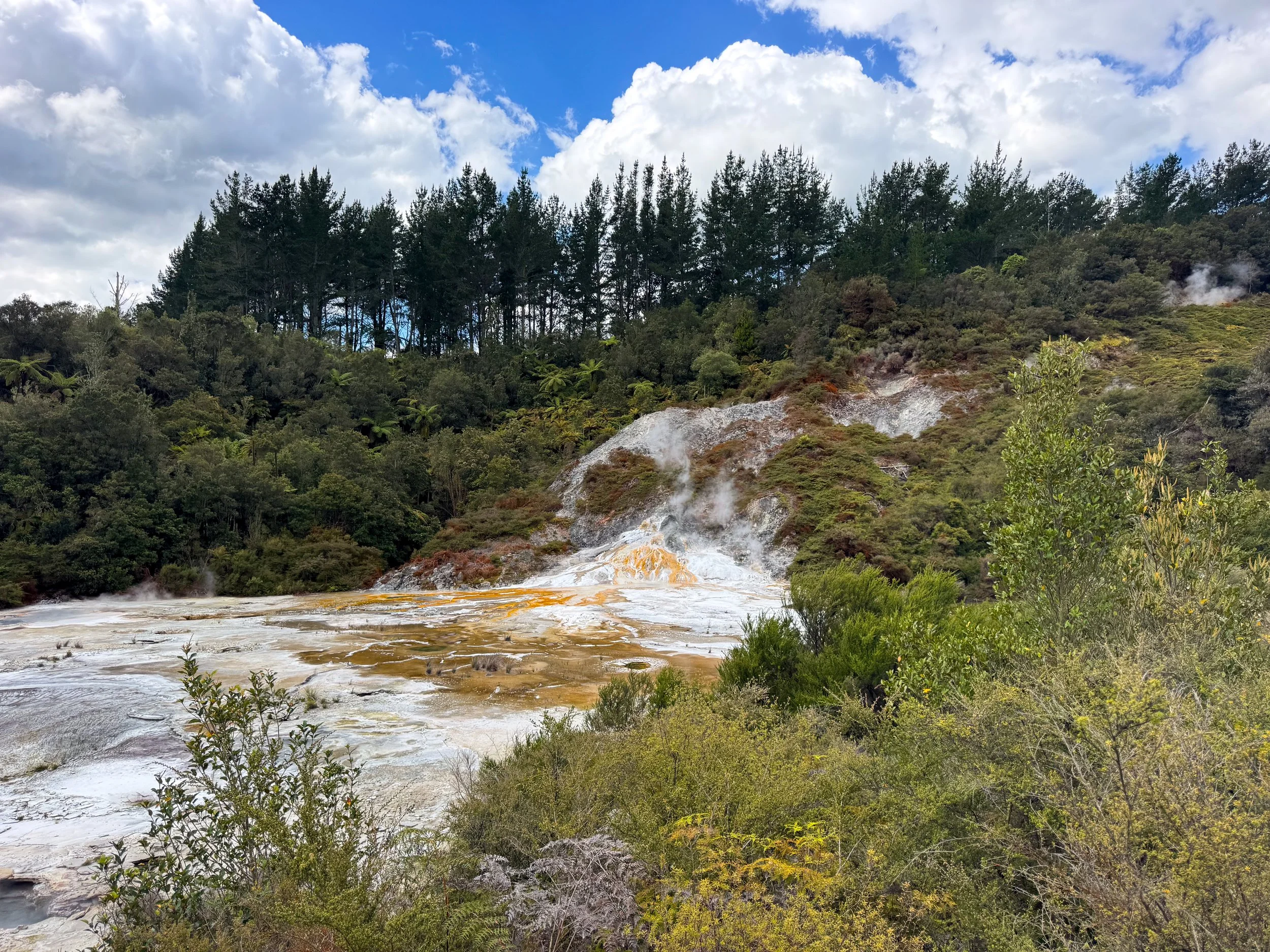 Orakei_Korako_Cave_and_Thermal_Park_07.jpg