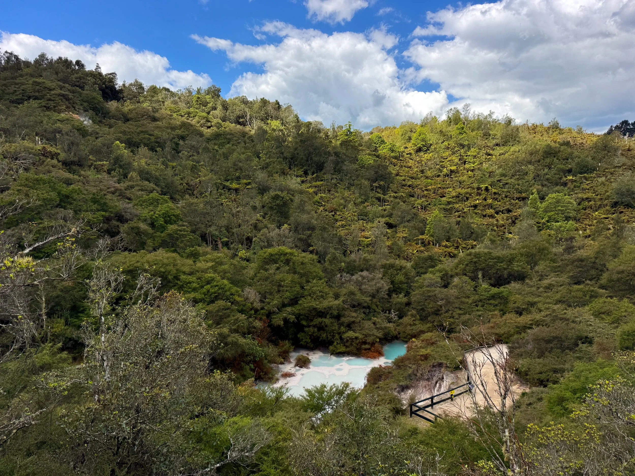 Orakei_Korako_Cave_and_Thermal_Park_08.jpg