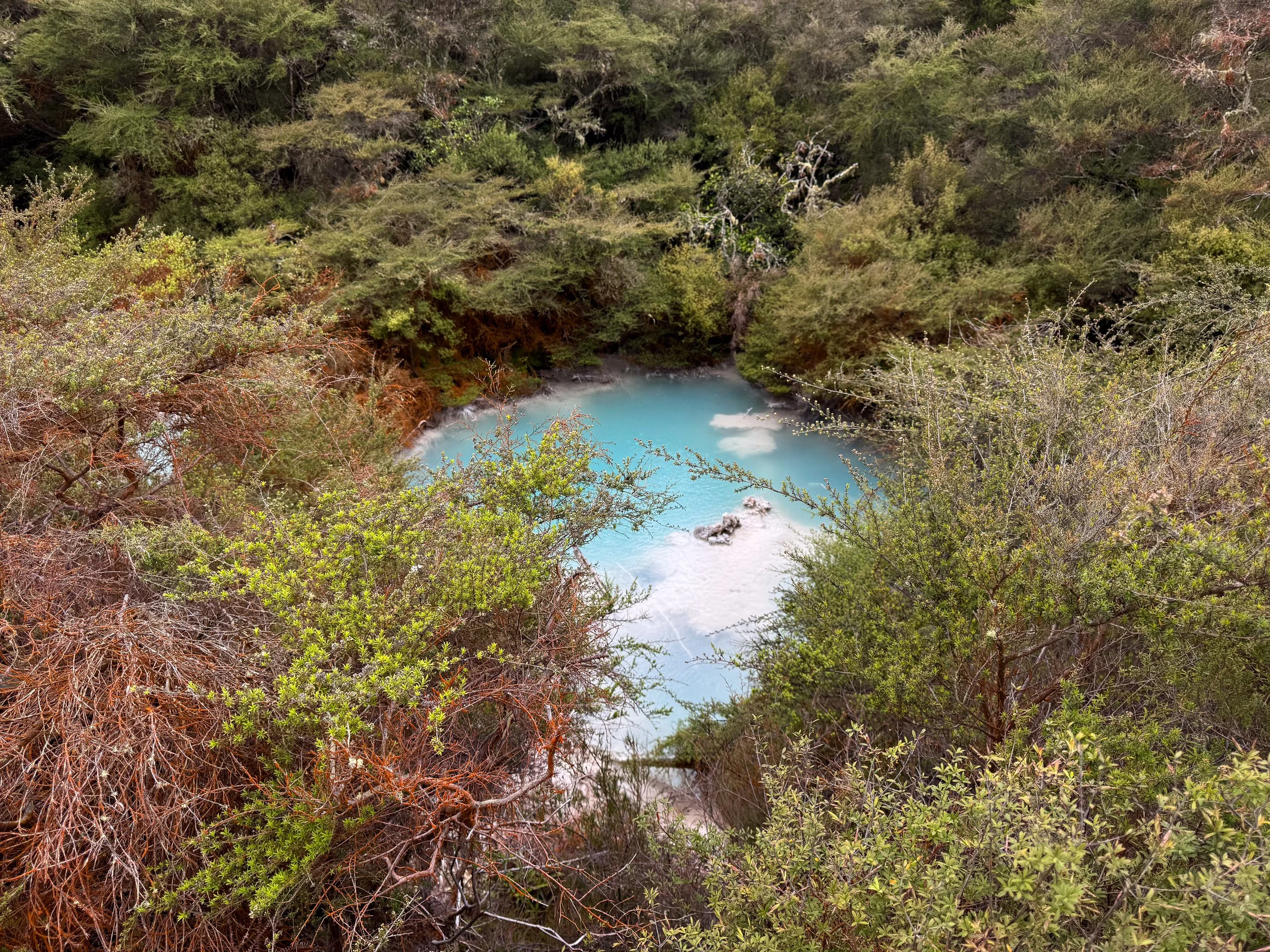Orakei_Korako_Cave_and_Thermal_Park_09.jpg