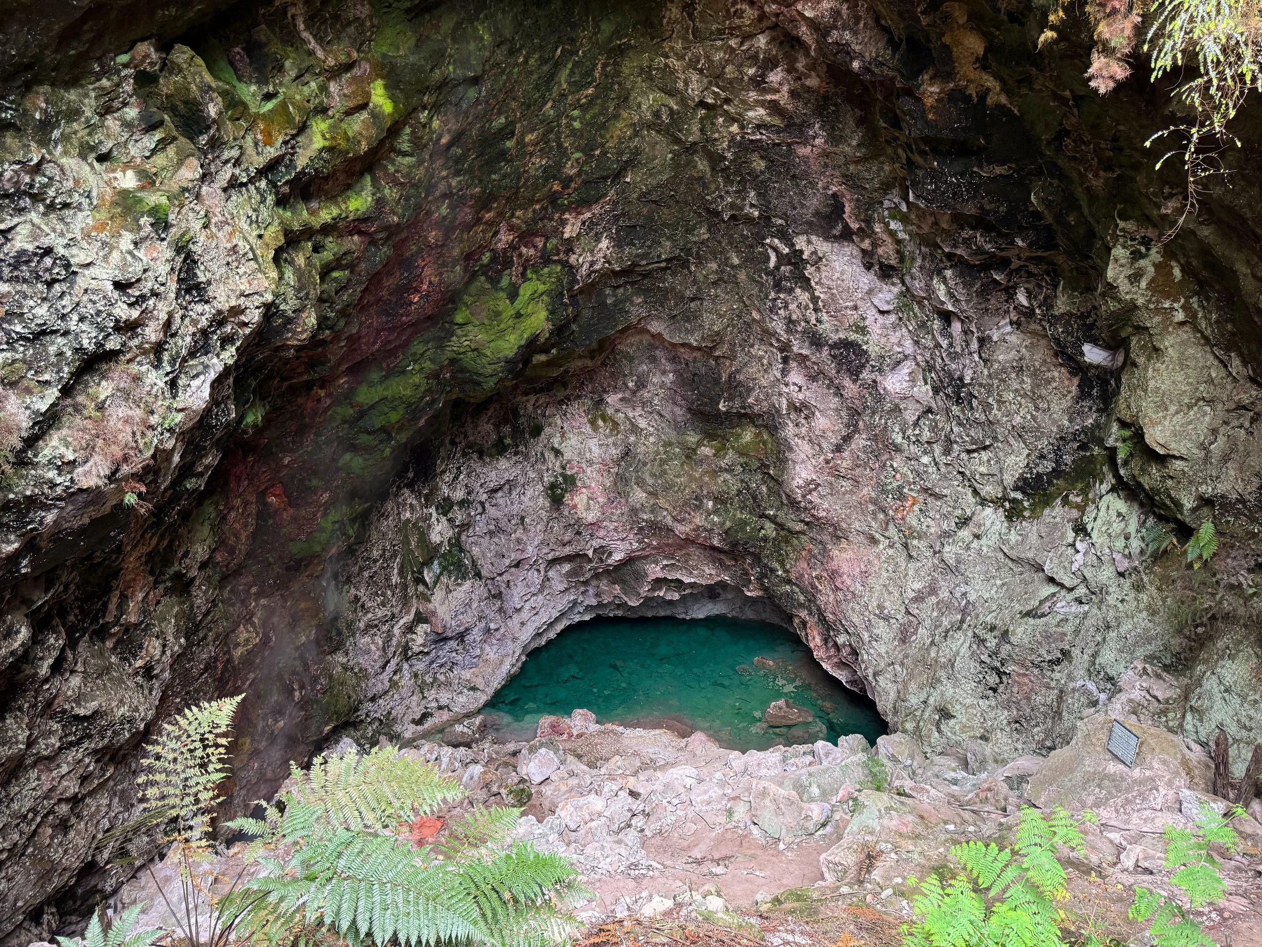 Orakei_Korako_Cave_and_Thermal_Park_10.jpg