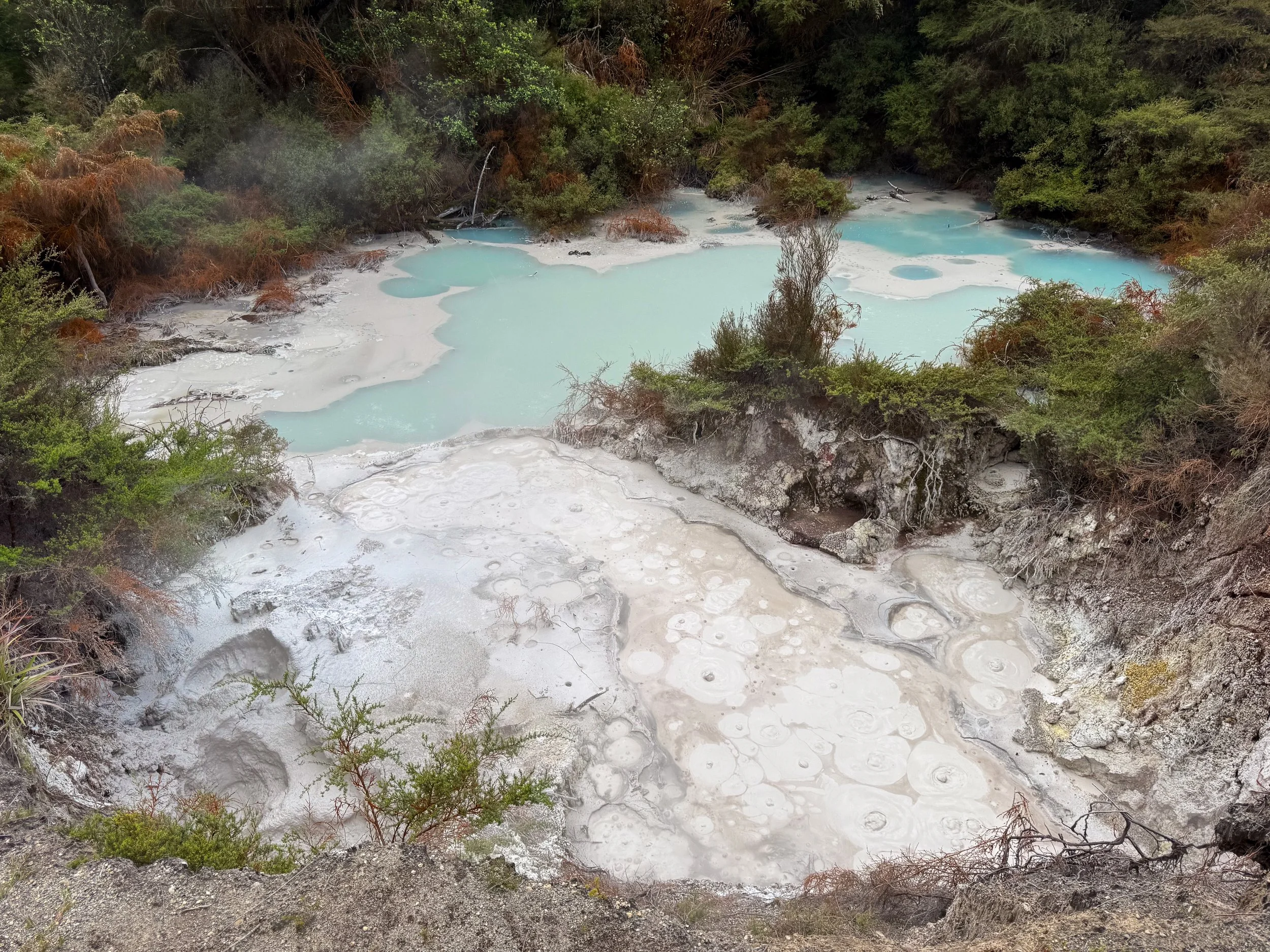 Orakei_Korako_Cave_and_Thermal_Park_12.jpg