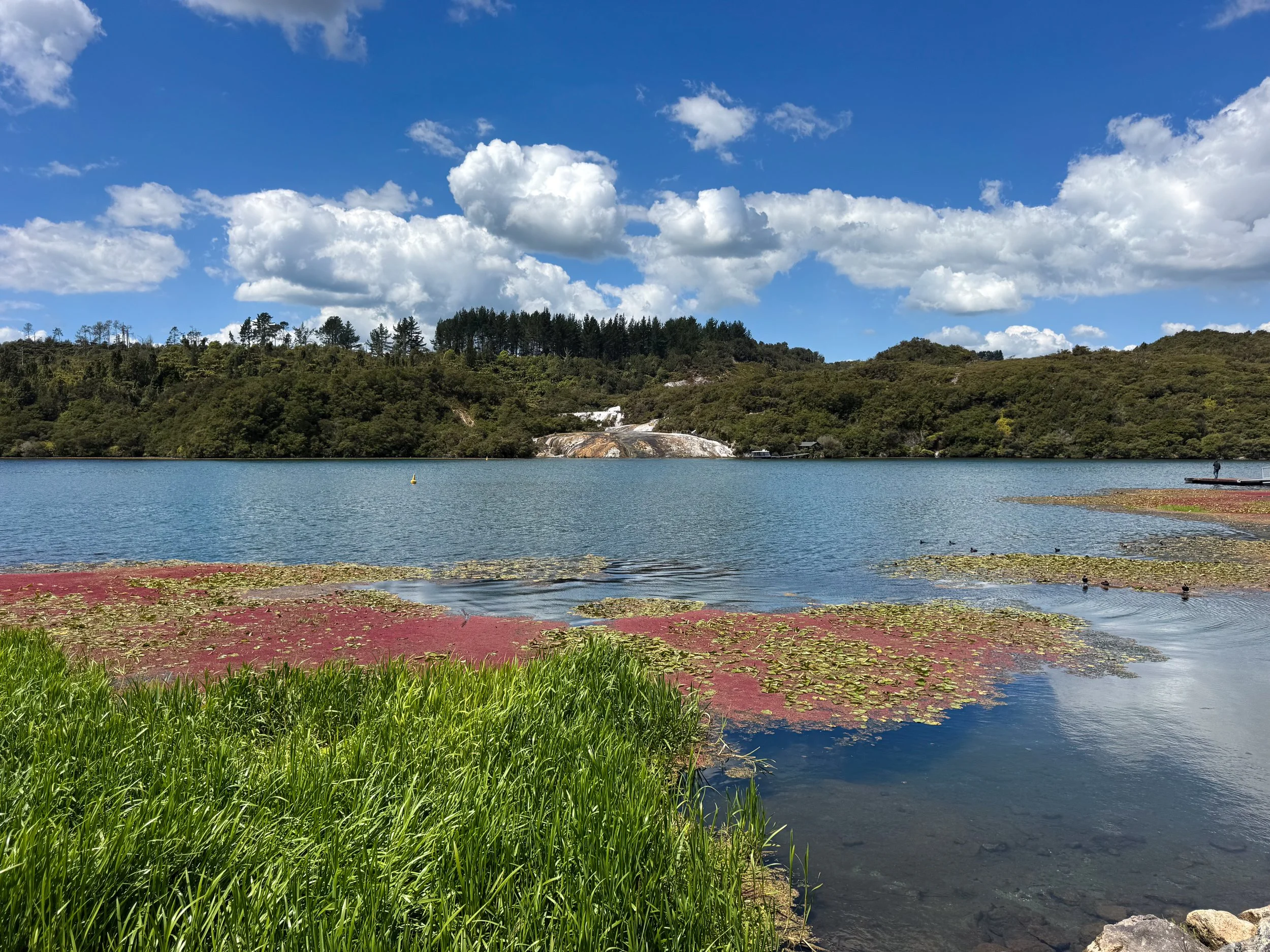 Orakei_Korako_Cave_and_Thermal_Park_14.jpg