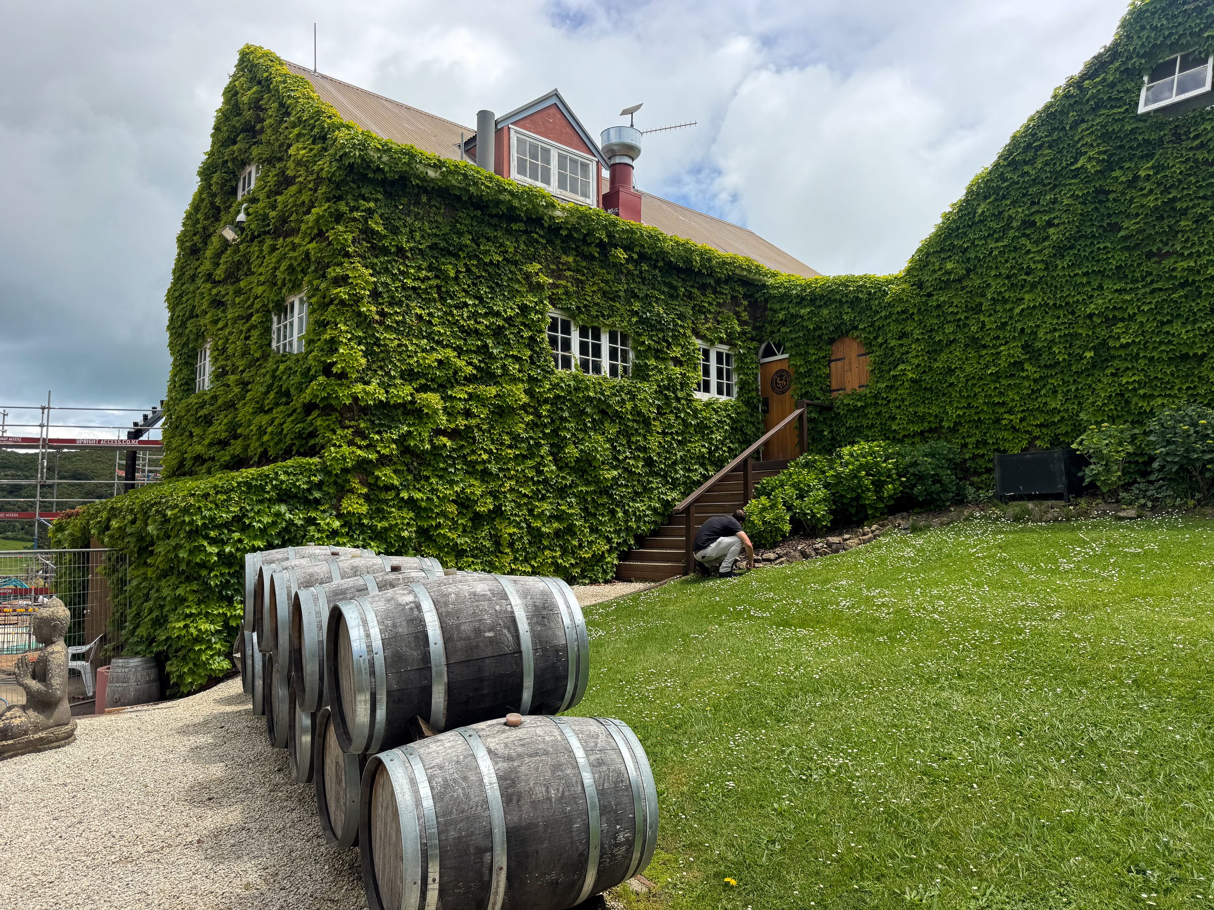 Waiheke_Vineyards_02.jpg