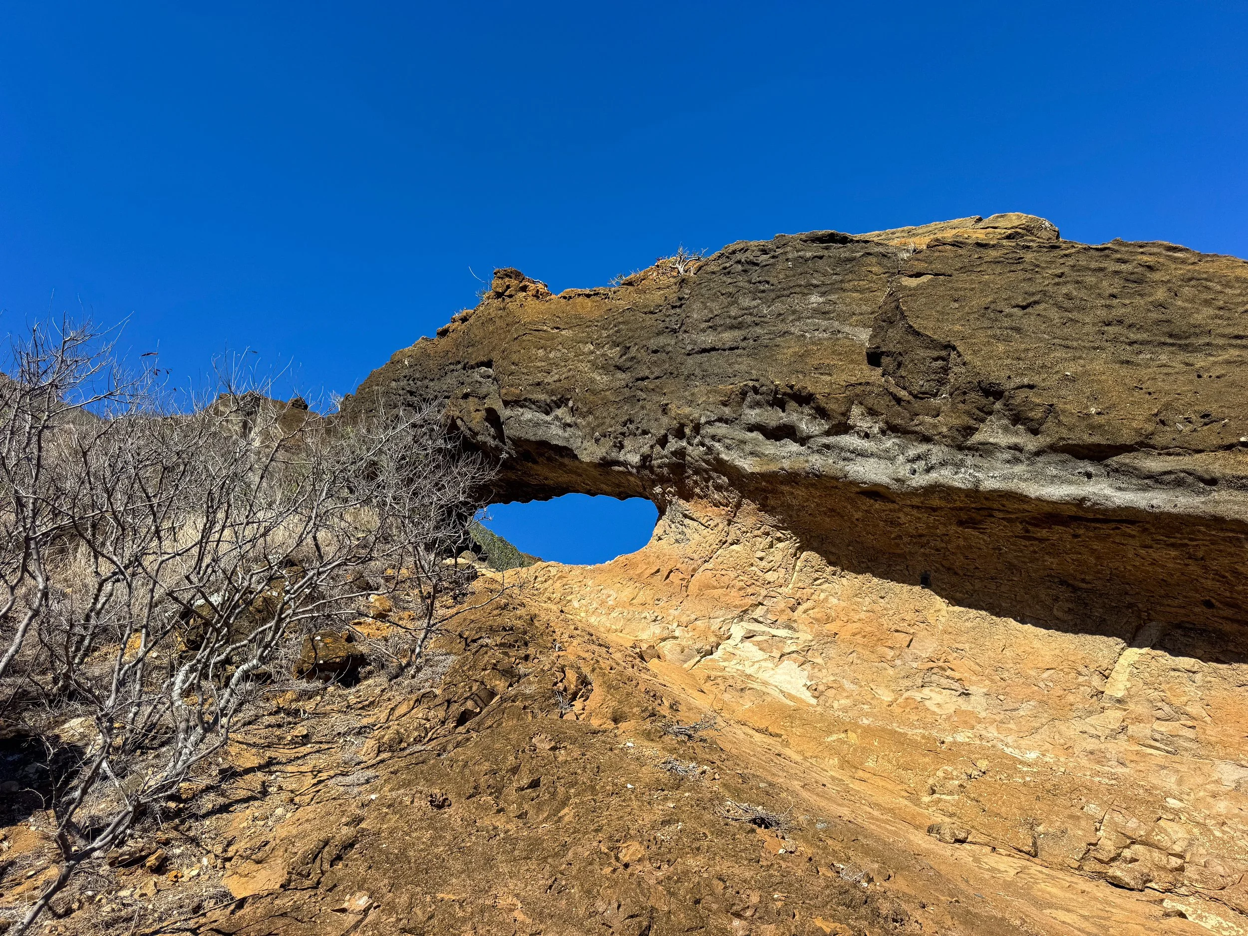 Koko_Crater_Arch_Trail_06.jpg