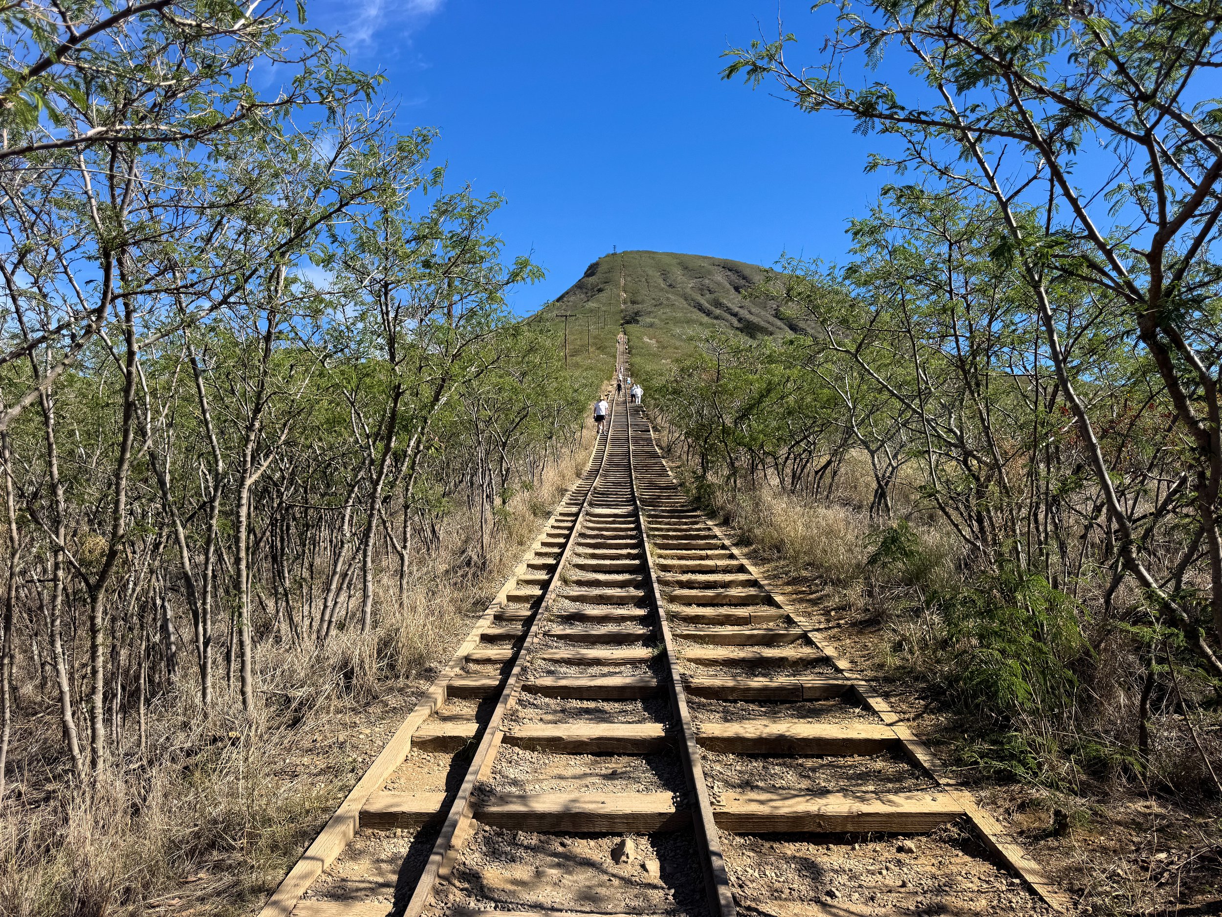 Koko_Crater_Railway_Trail_01.jpg