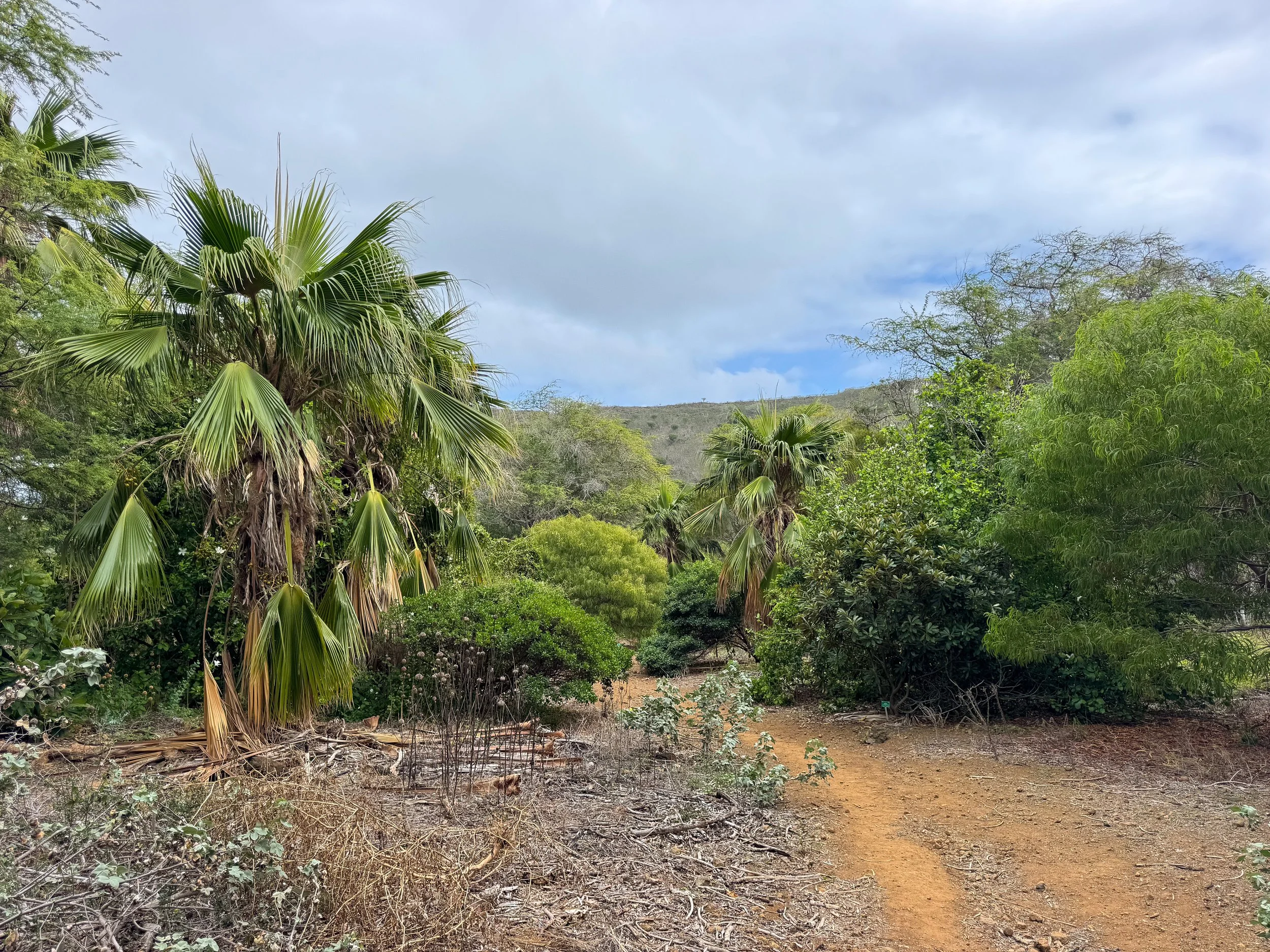 Koko_Crater_Botanical_Garden_03.jpg