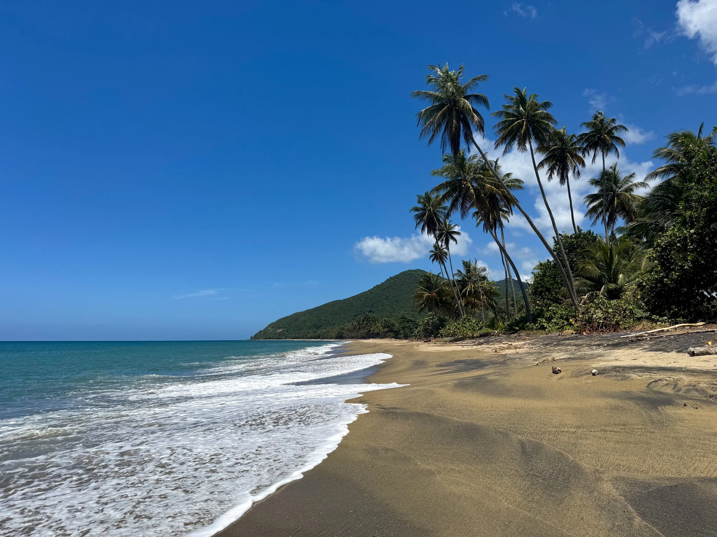 Playa_Los_Bohios_01.jpg