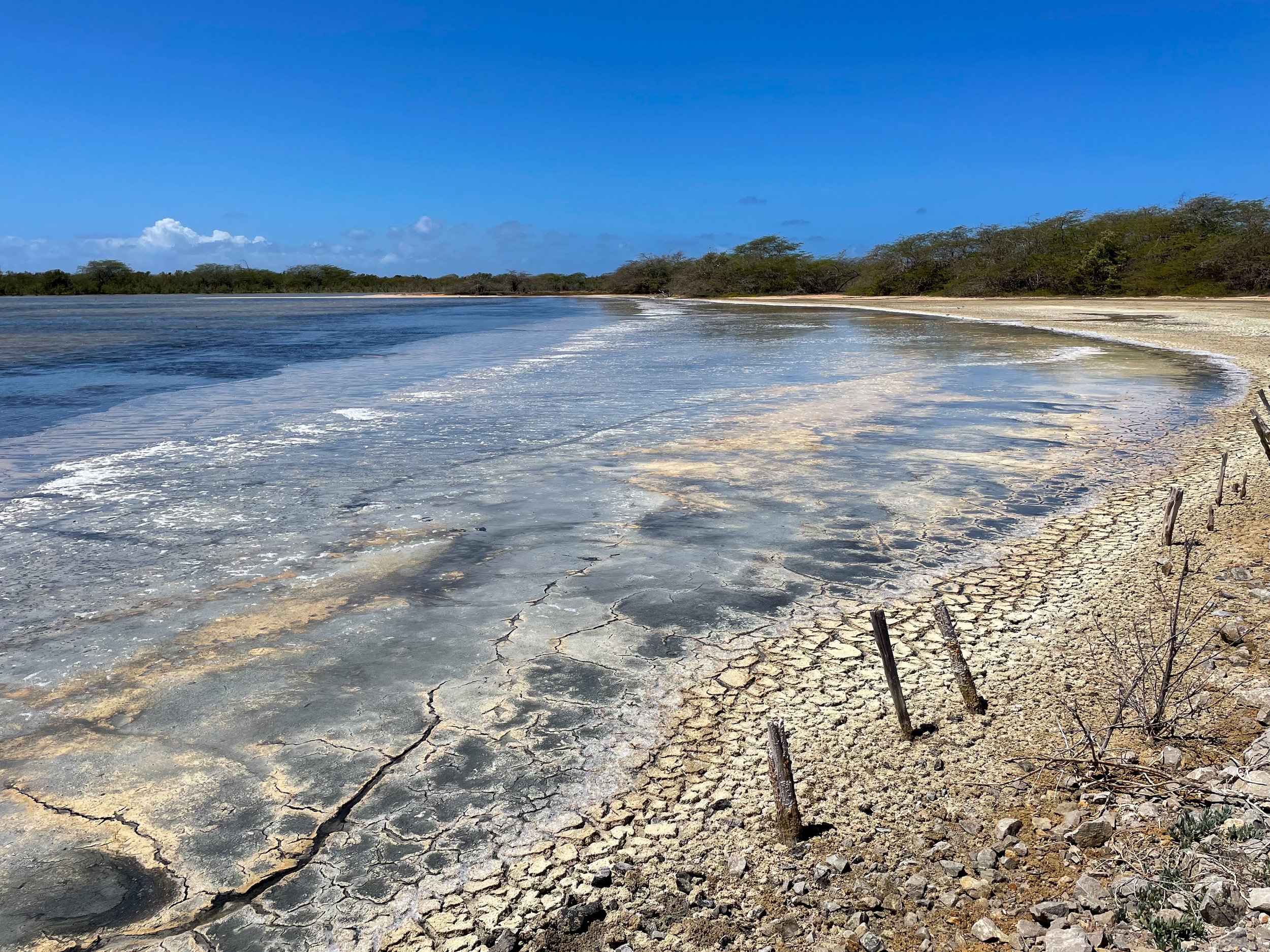 Cabo_Rojo_Salt_Flats_10.jpg