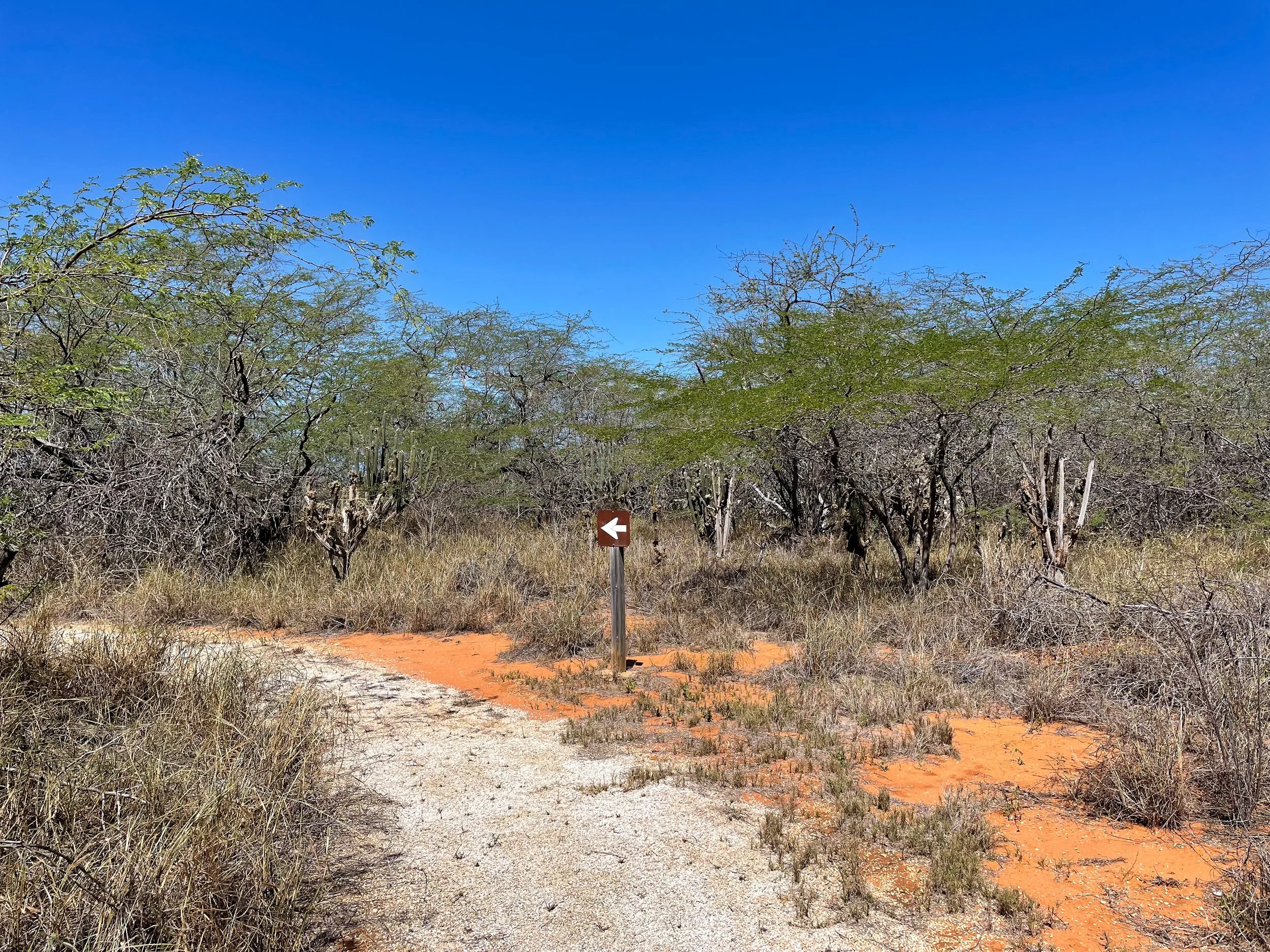 Cabo_Rojo_Salt_Flats_09.jpg