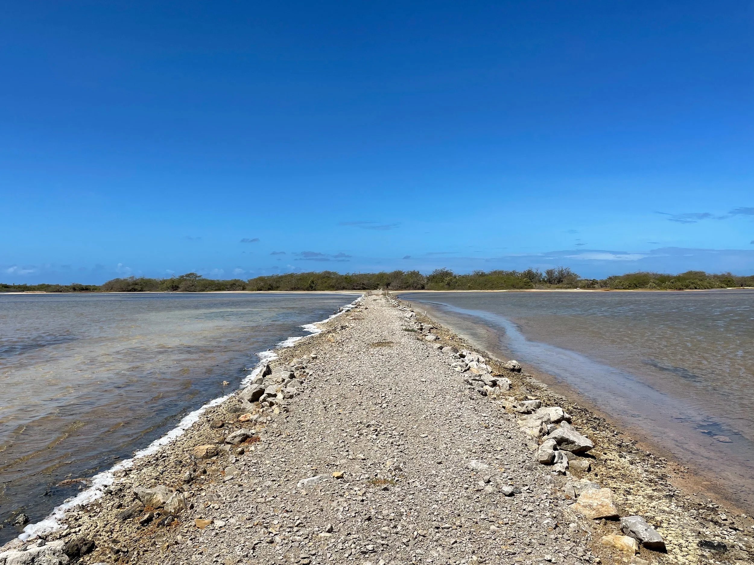 Cabo_Rojo_Salt_Flats_12.jpg