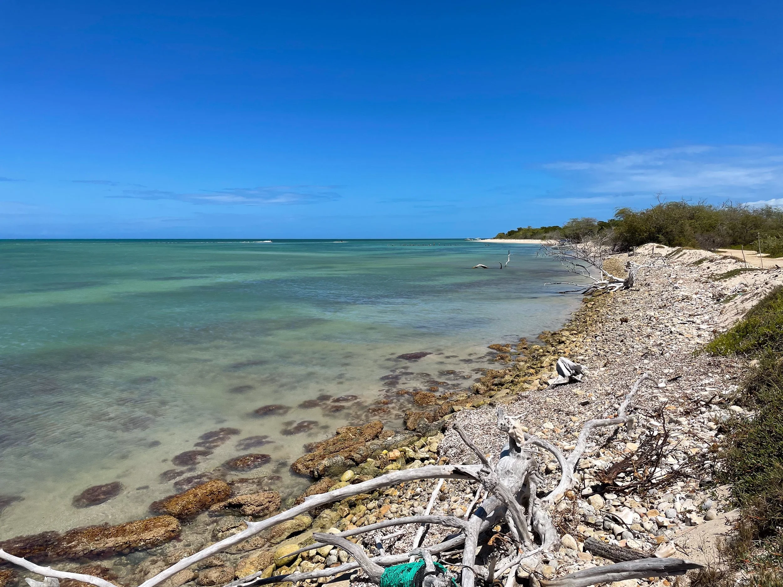 Cabo_Rojo_Salt_Flats_15.jpg