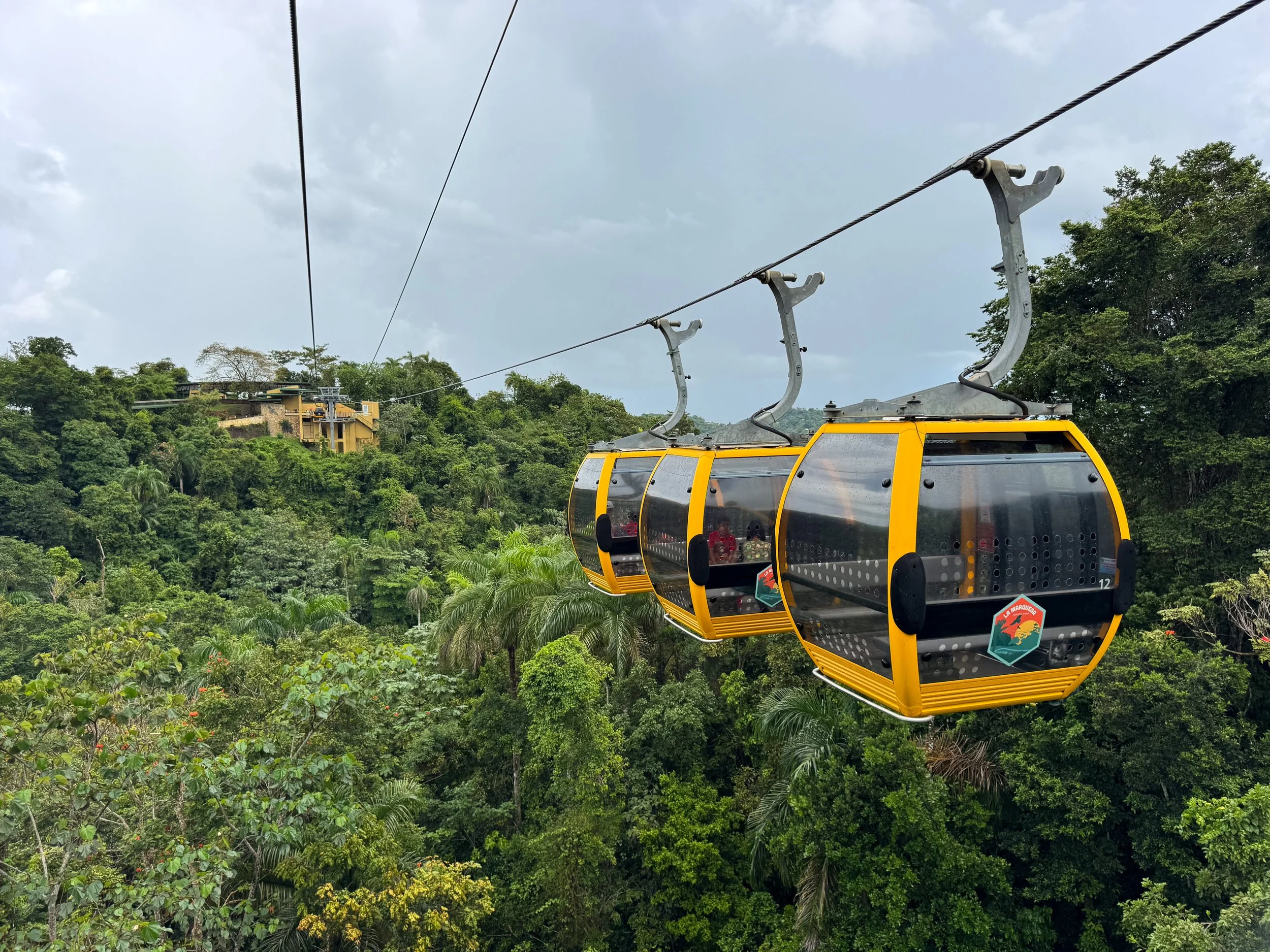 Parque_Forestal_La_Marquesa_01.jpg