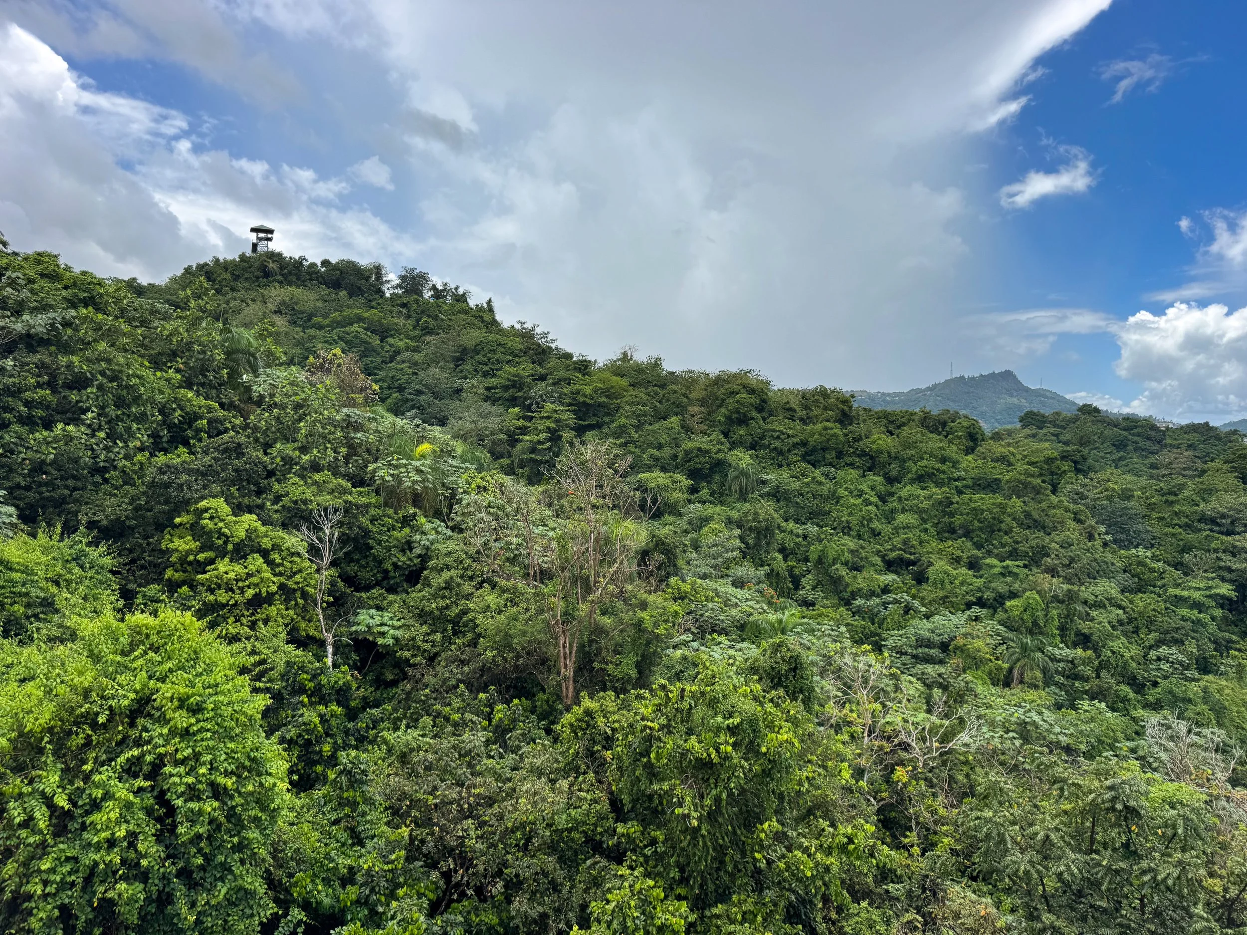 Parque_Forestal_La_Marquesa_02.jpg