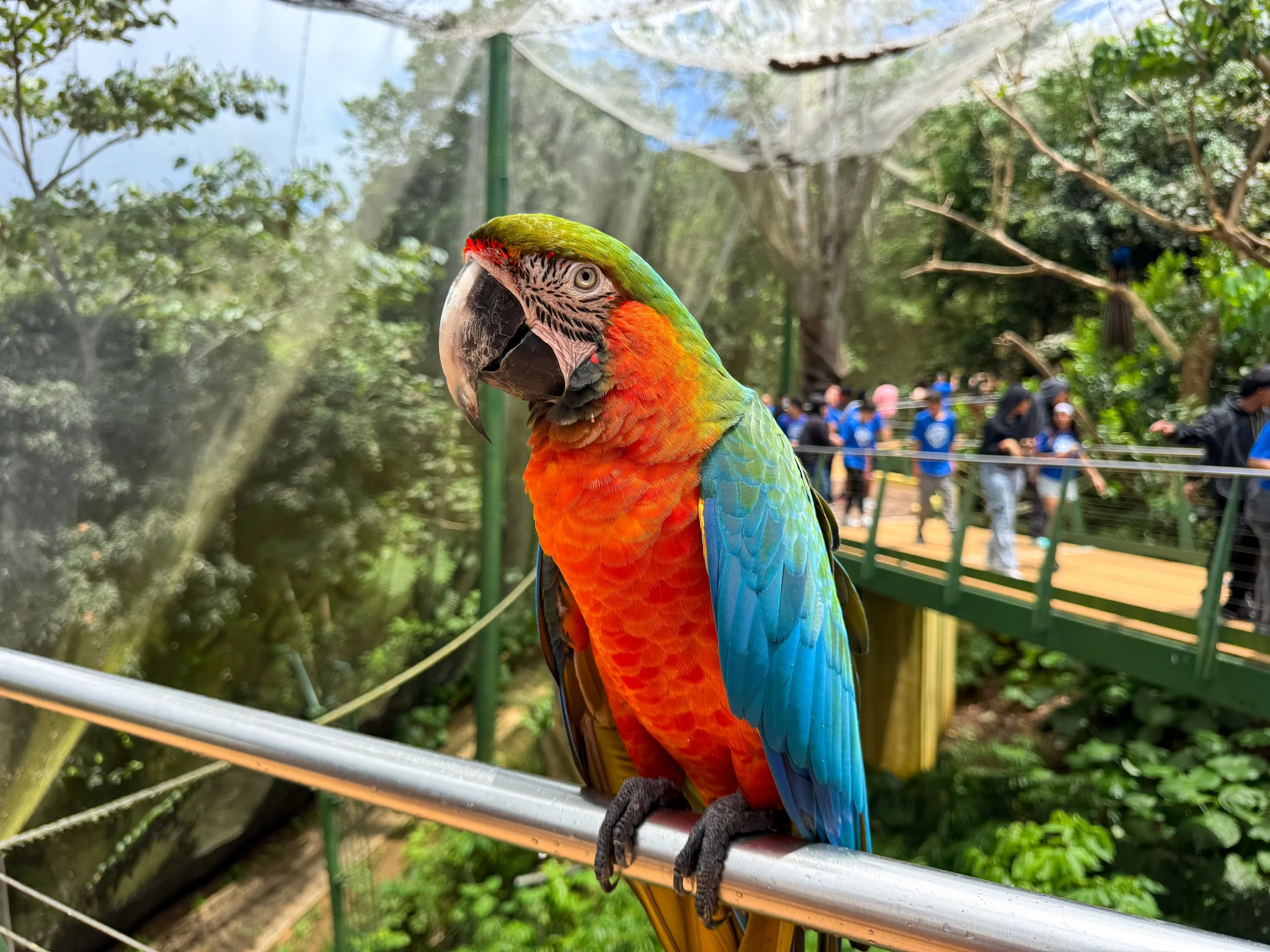 Parque_Forestal_La_Marquesa_03.jpg