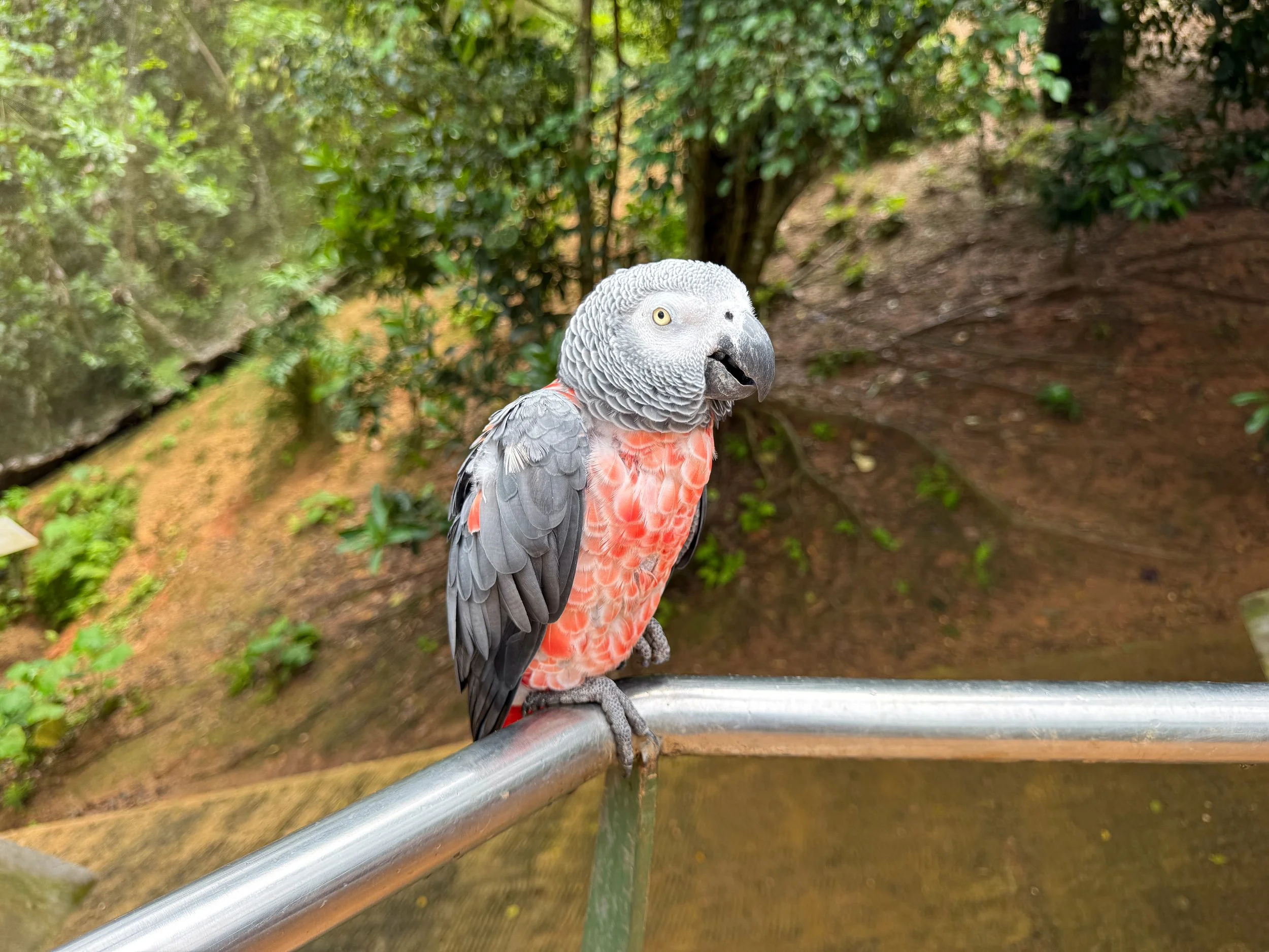 Parque_Forestal_La_Marquesa_05.jpg