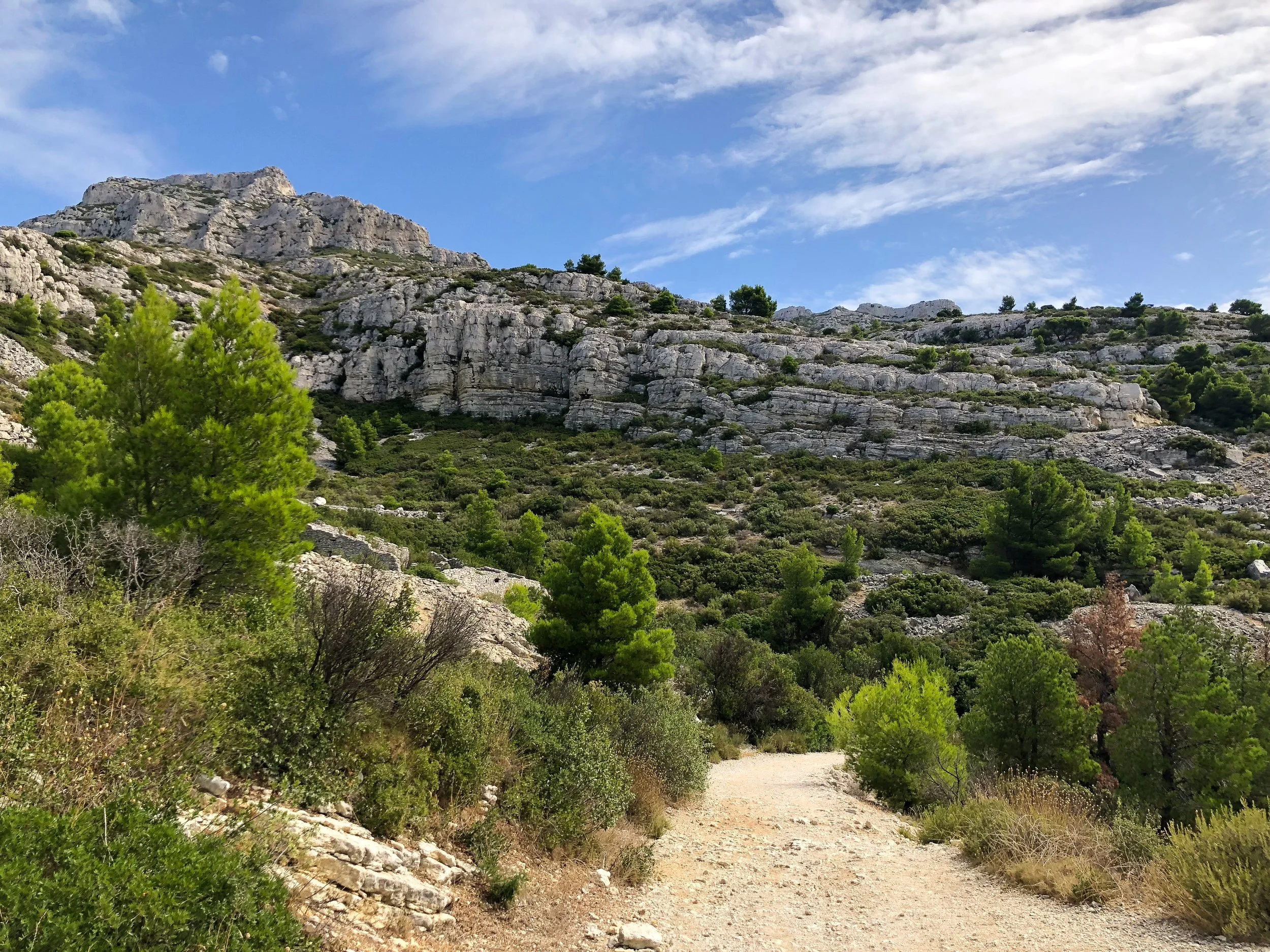 Calanque_de_Sugiton_05.jpg