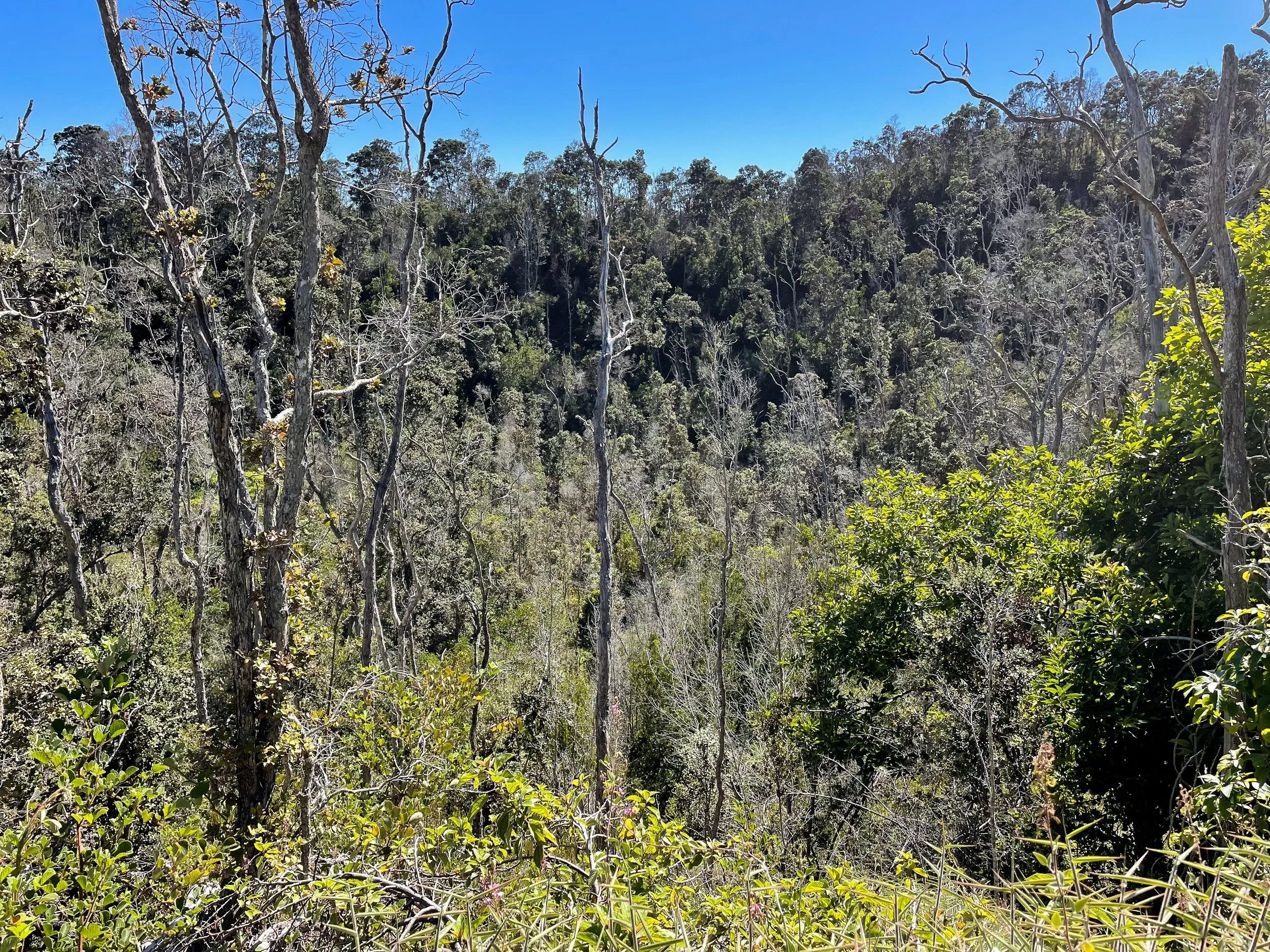 Ko’oko’olau_Crater.jpg