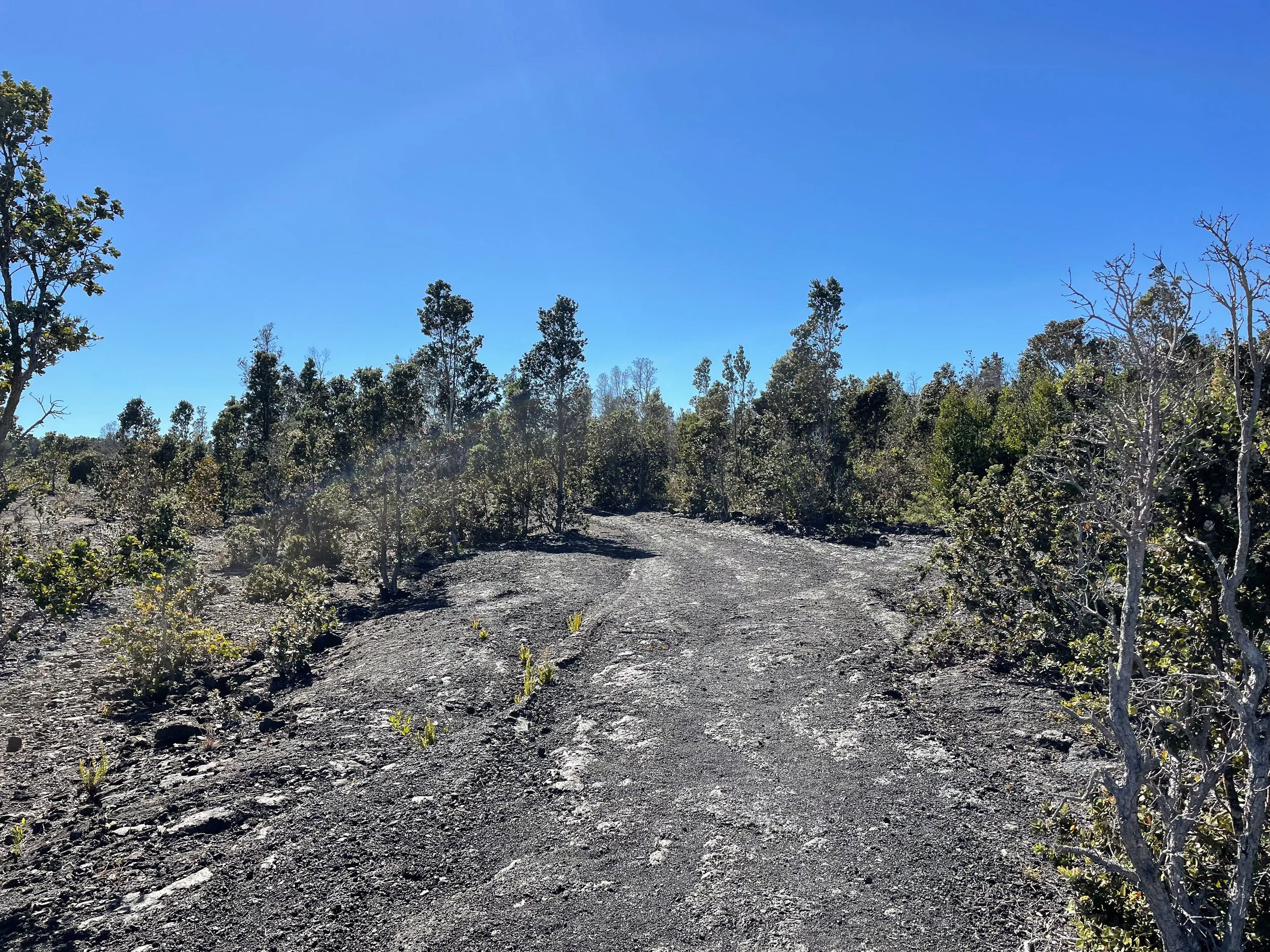 Hiiaka_Crater.jpg