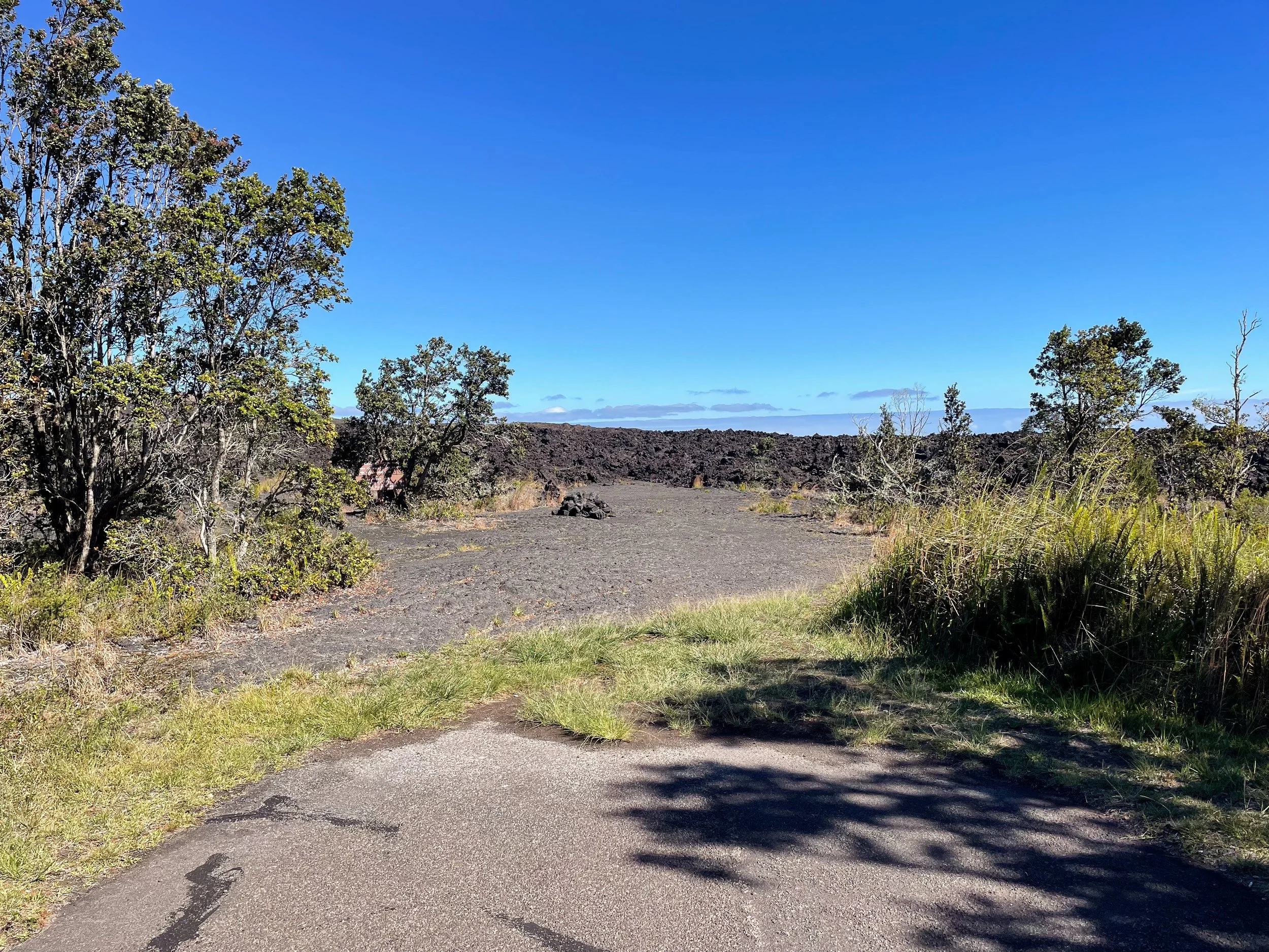 Mauna_Ulu_Eruption_Trail_01.jpg