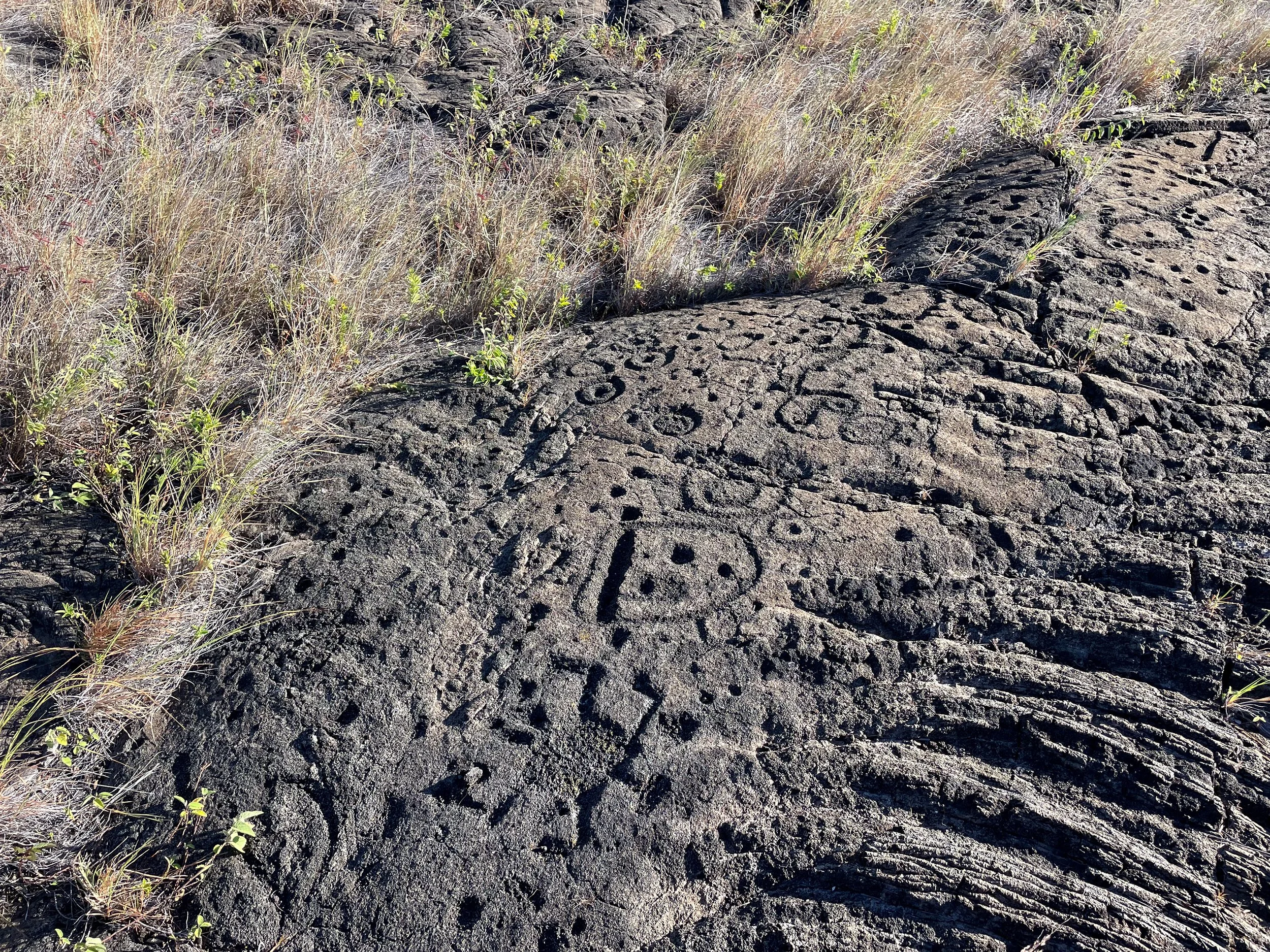 Pu‘u_Loa_Petroglyphs_01.jpg