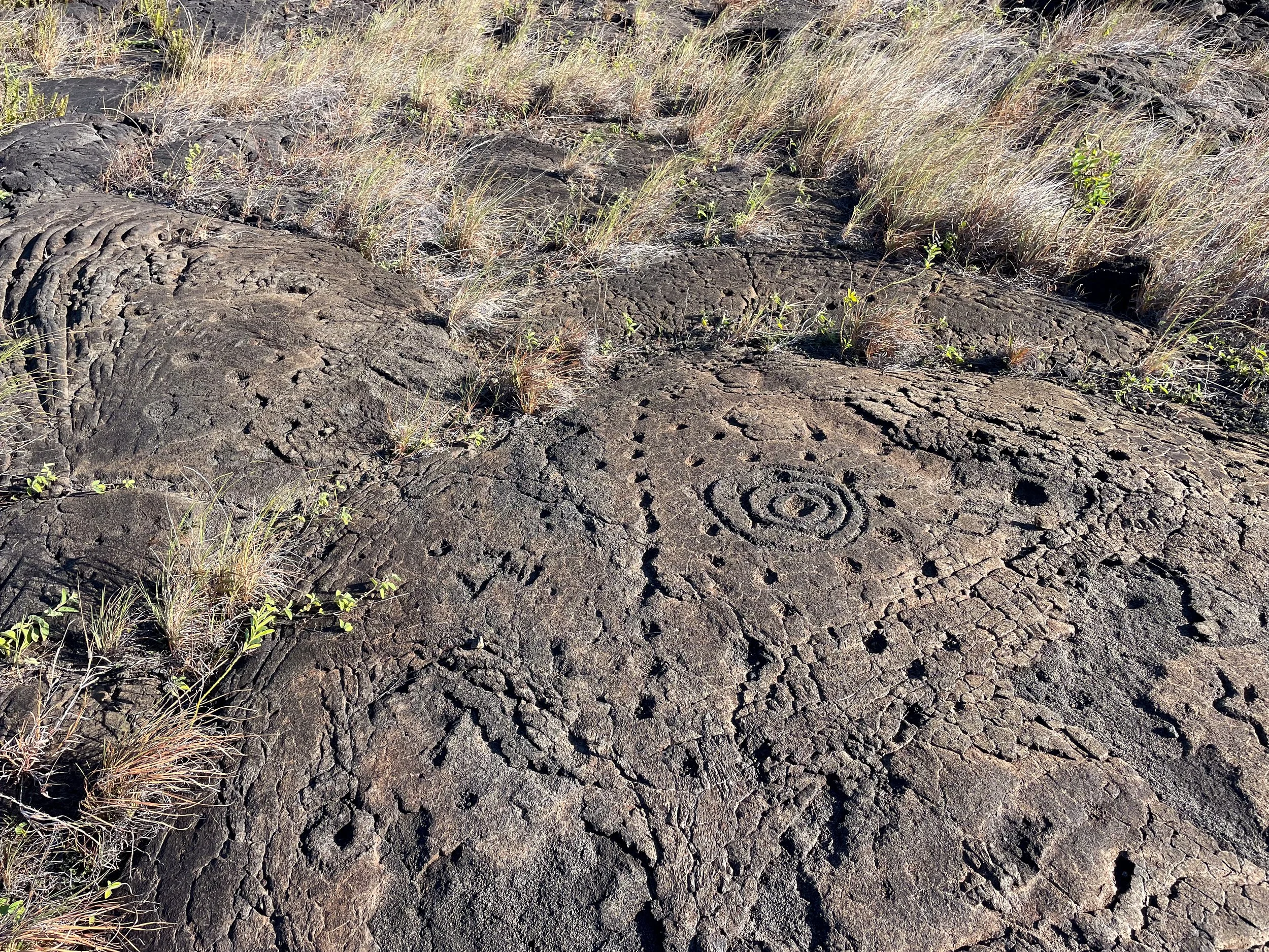 Pu‘u_Loa_Petroglyphs_02.jpg