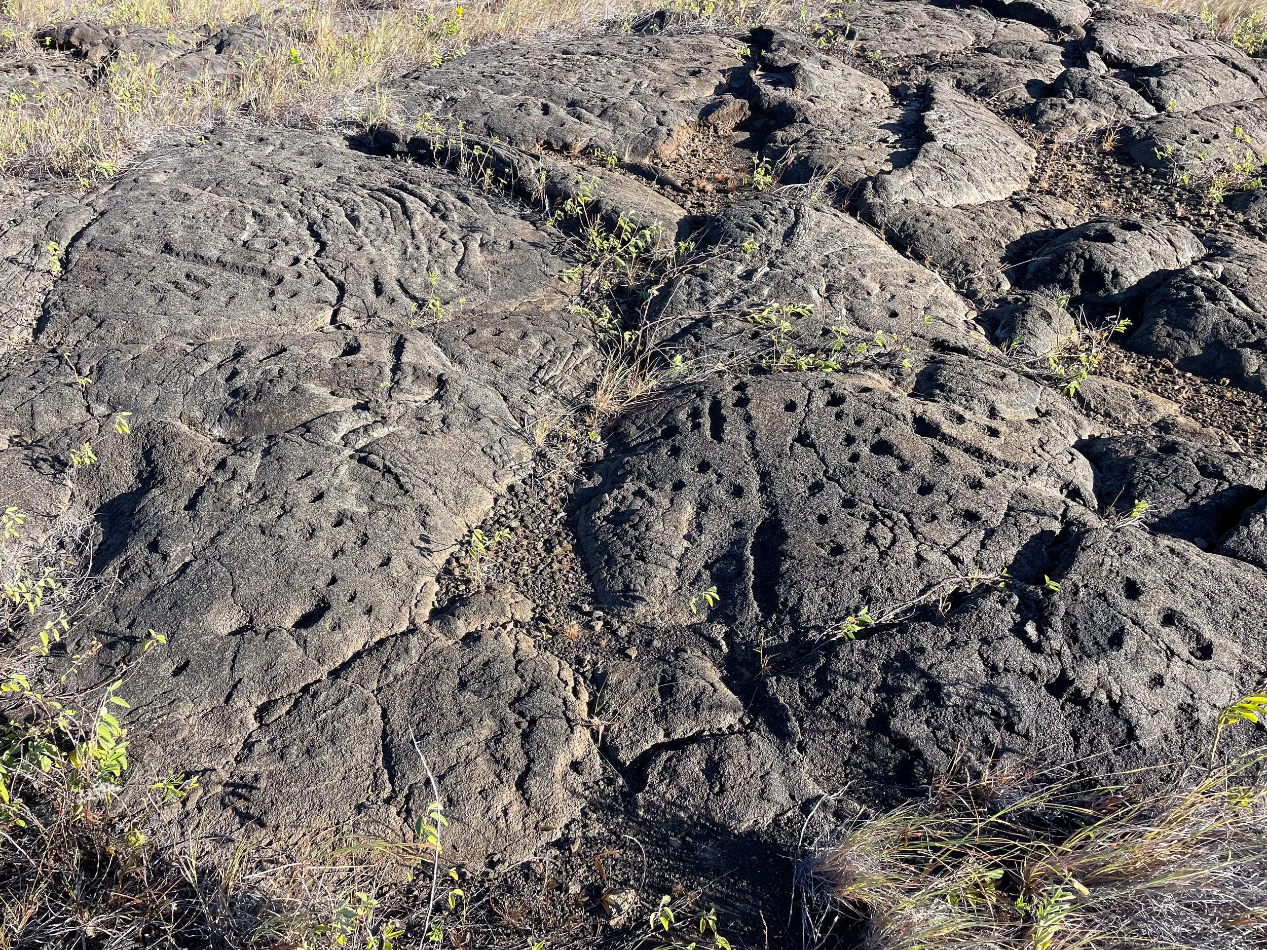 Pu‘u_Loa_Petroglyphs_03.jpg