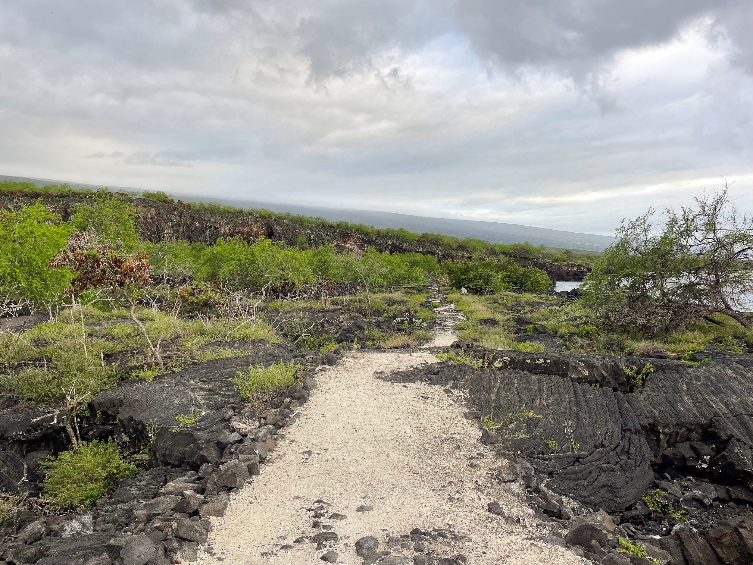 Pu’uhonua_o_Honaunau_National_Park_09.jpg