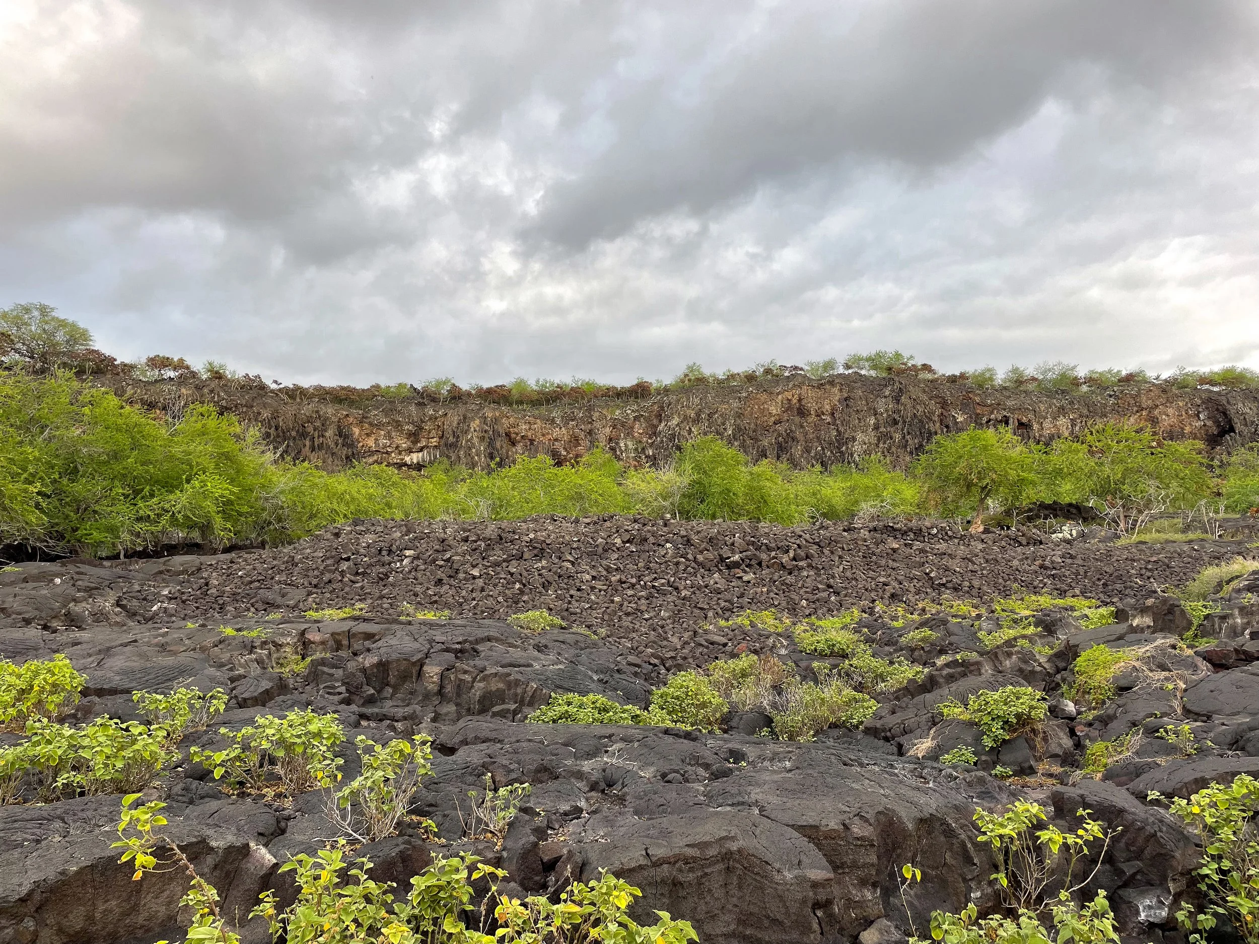 Pu’uhonua_o_Honaunau_National_Park_11.jpg