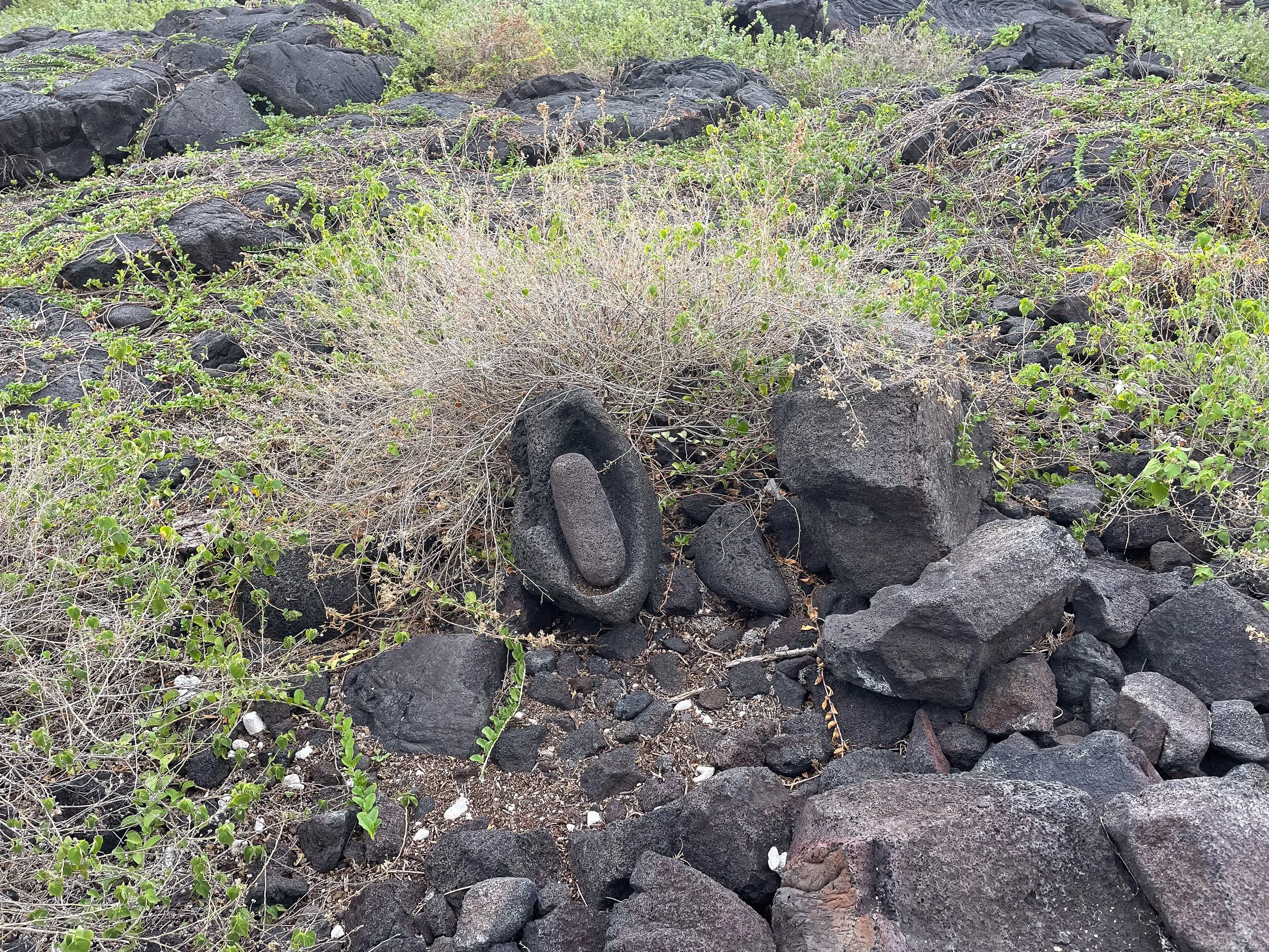 Pu’uhonua_o_Honaunau_National_Park_10.jpg