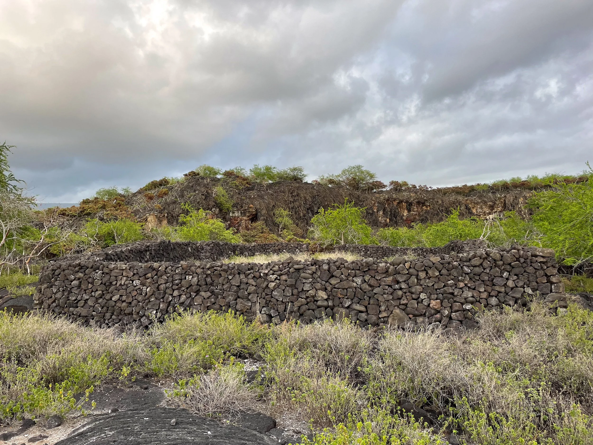 Pu’uhonua_o_Honaunau_National_Park_12.jpg