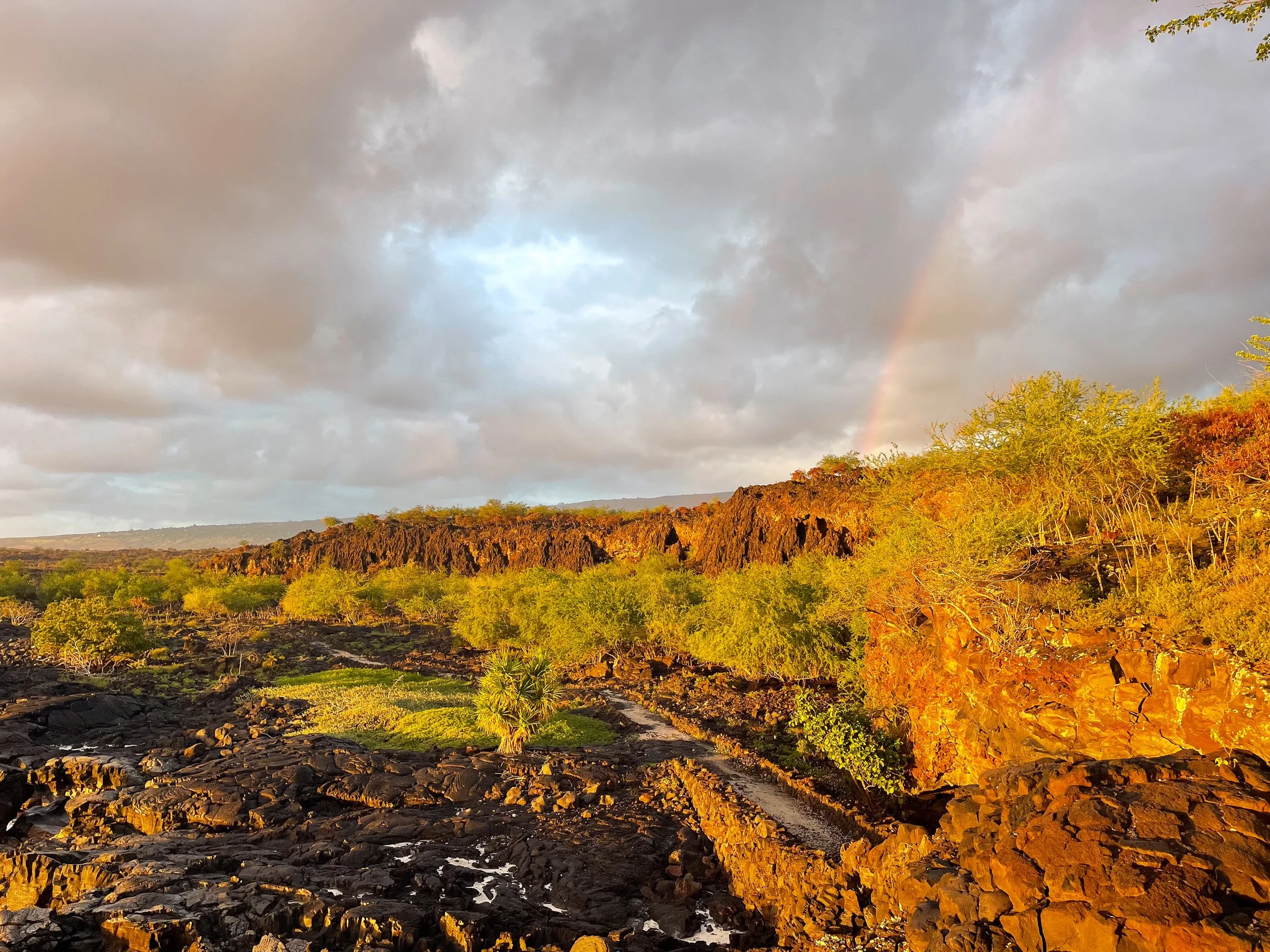 Pu’uhonua_o_Honaunau_National_Park_13.jpg