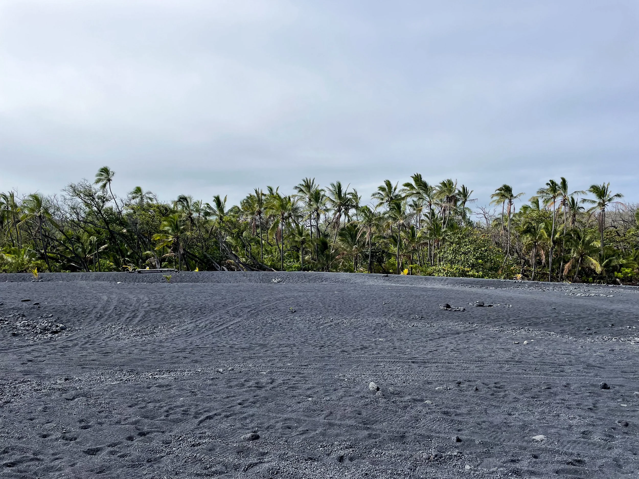 Pohoiki_Black_Sand_Beach_04.jpg
