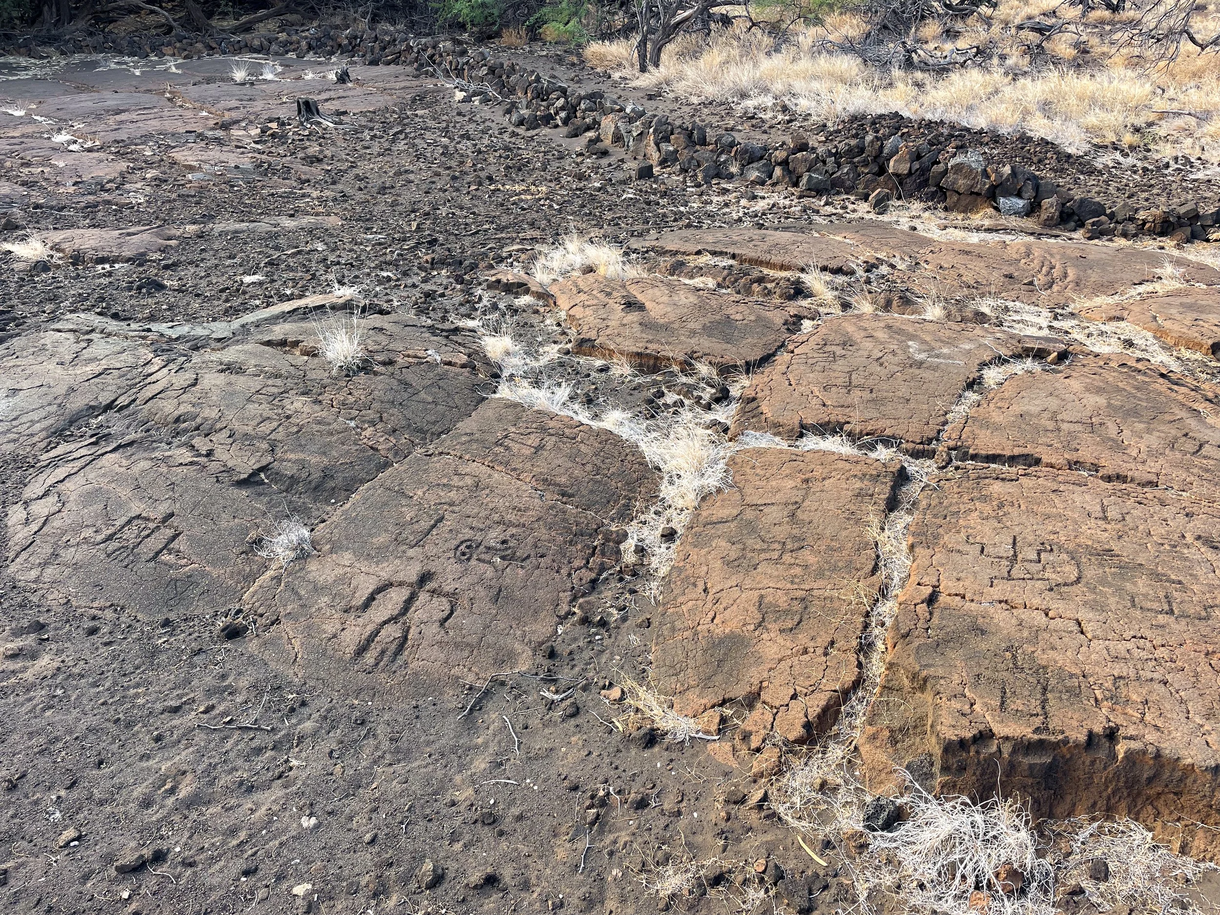 Pauko_Petroglyph_Park_02.jpg