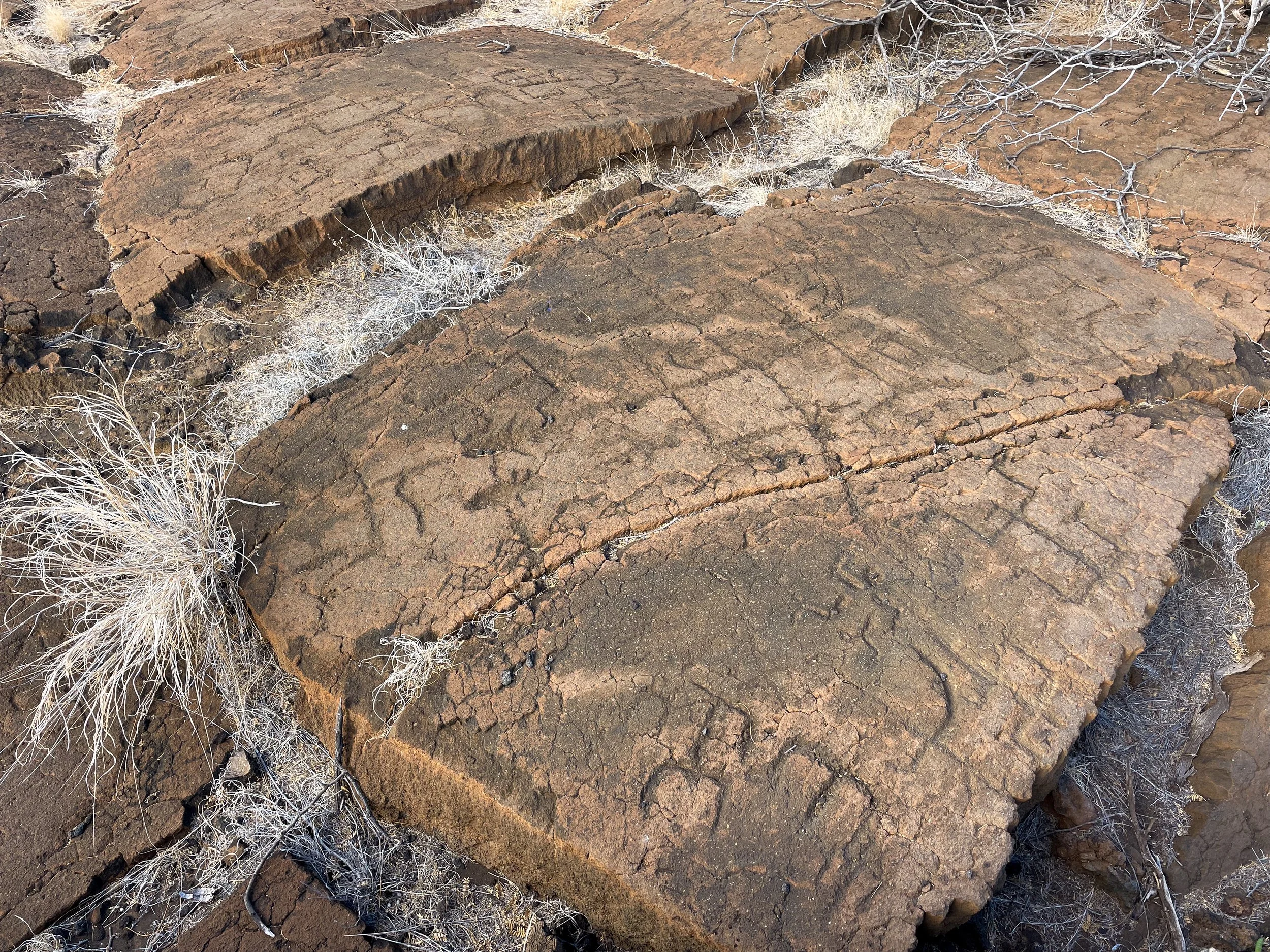 Pauko_Petroglyph_Park_04.jpg