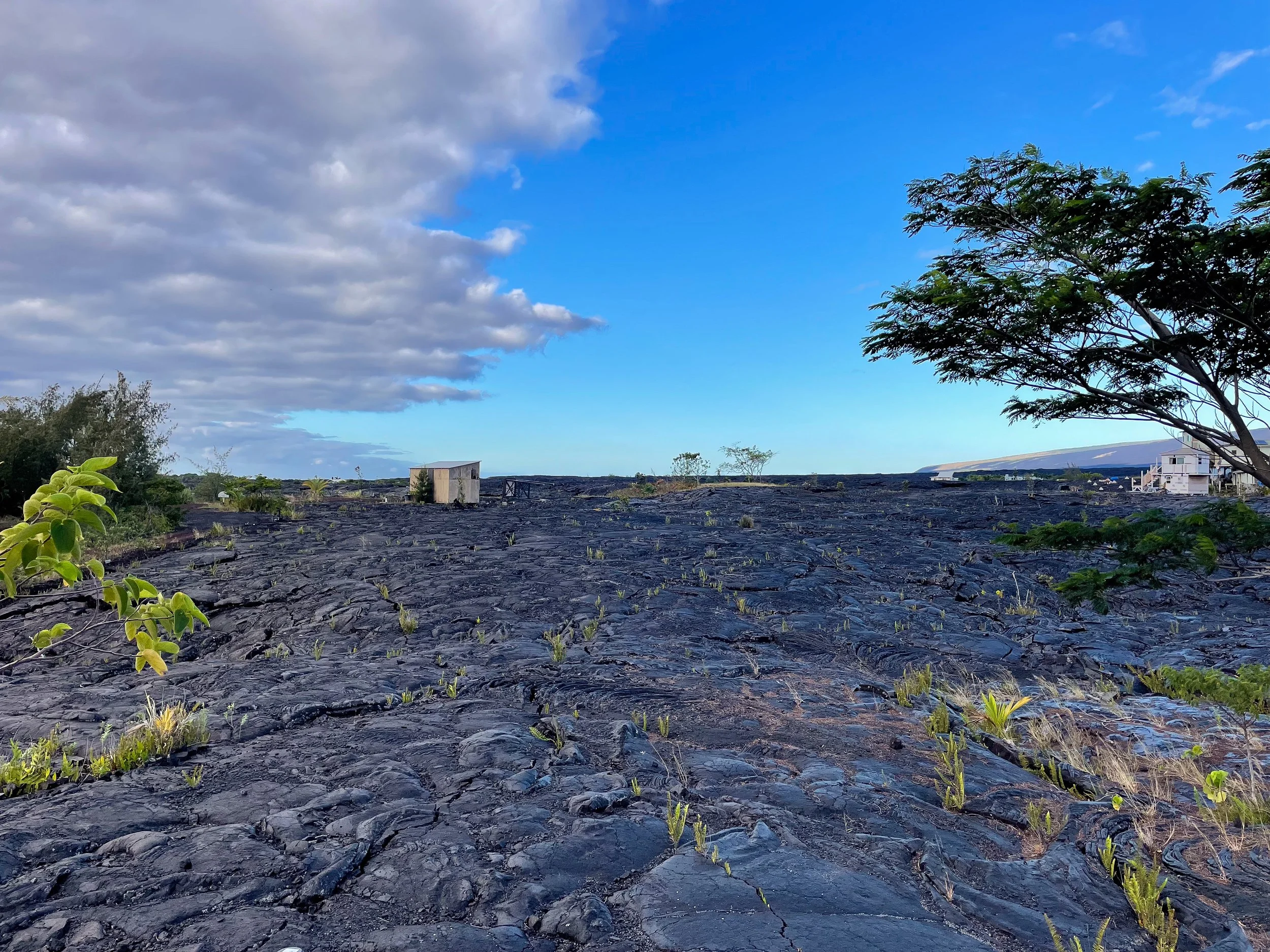 Lava_Sanctuary_Airbnb_04.jpg