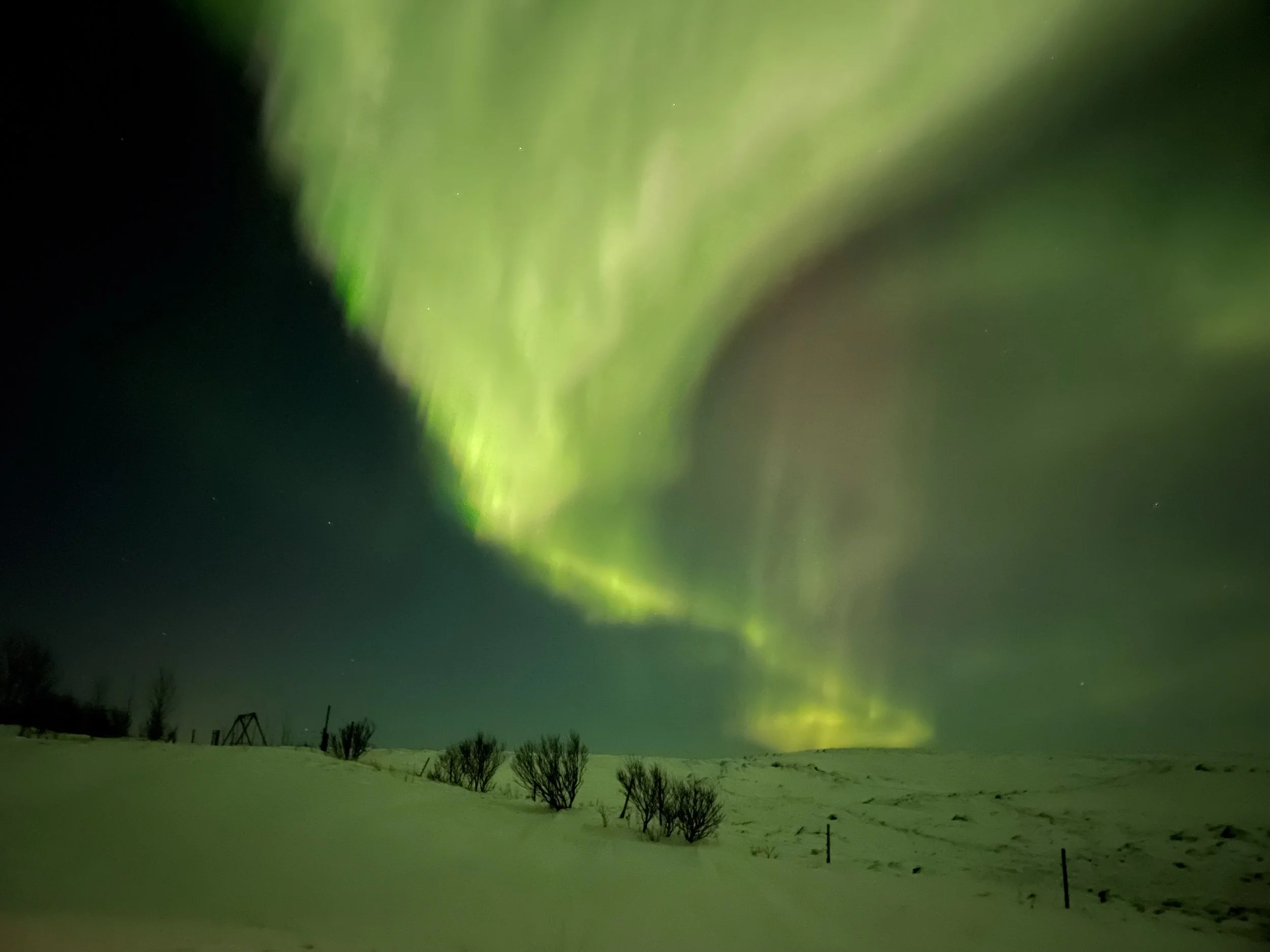 Icelandic_Aurora_02.jpg