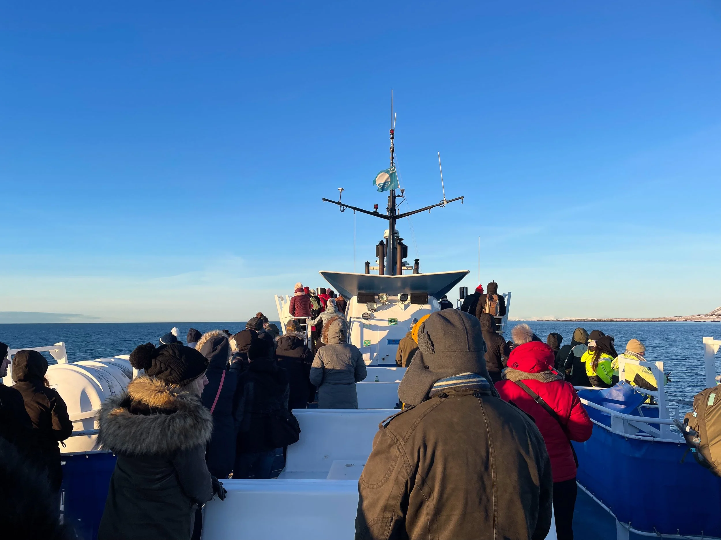 Reykjavik_Whale_Watching_06.jpg