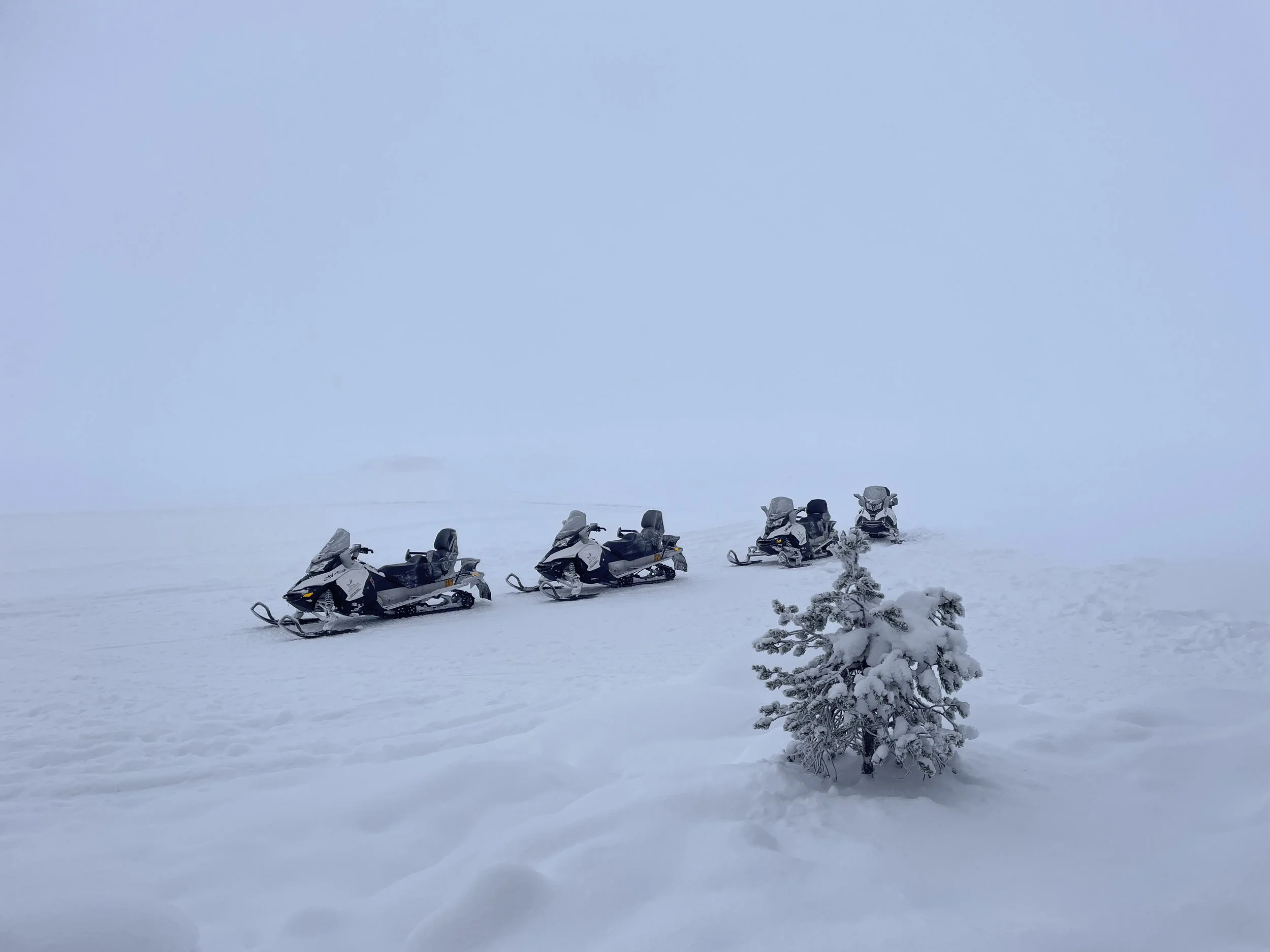 Snowmobile_Safari_06.jpg