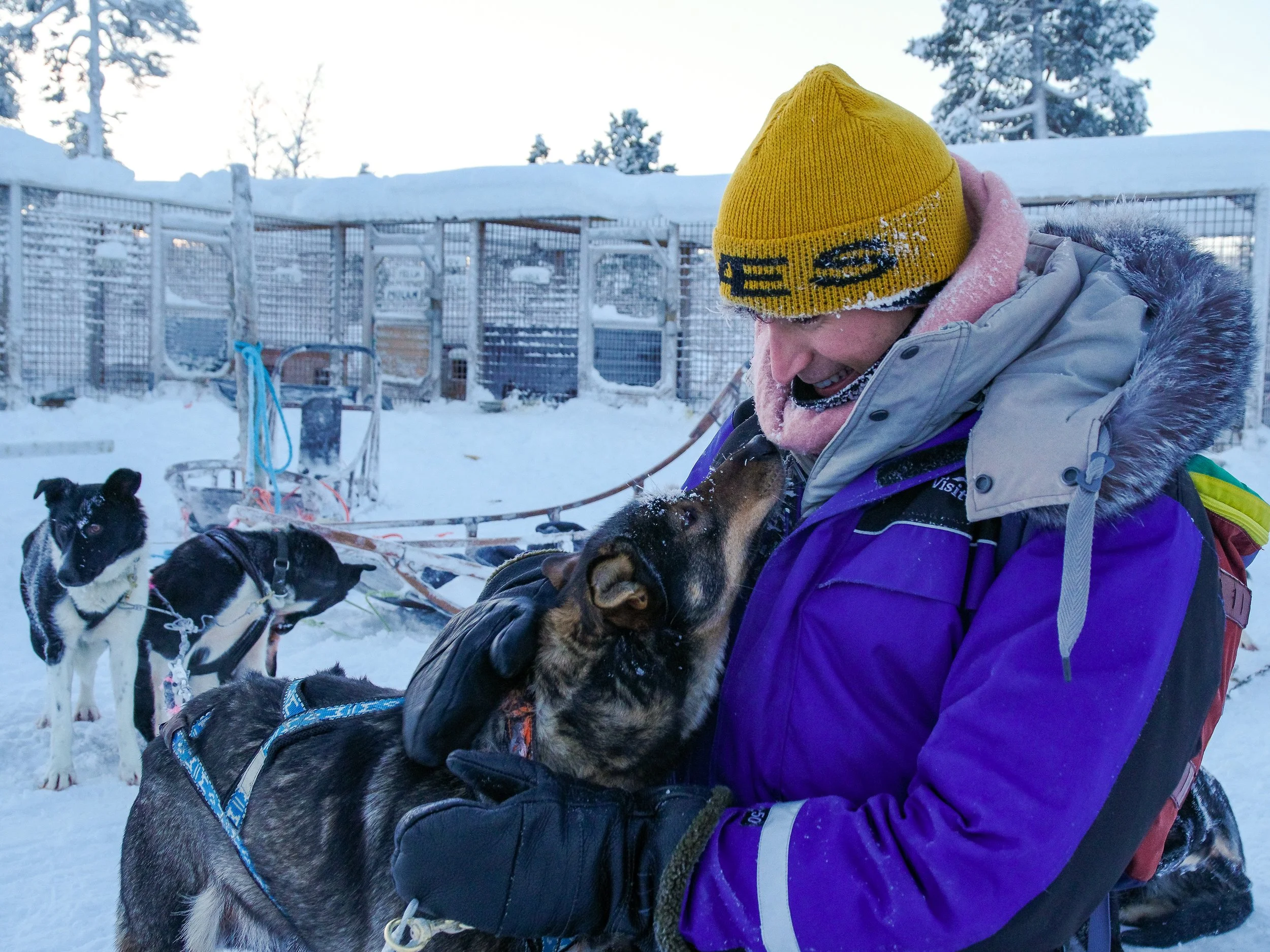 Husky_Mushing_05.jpg