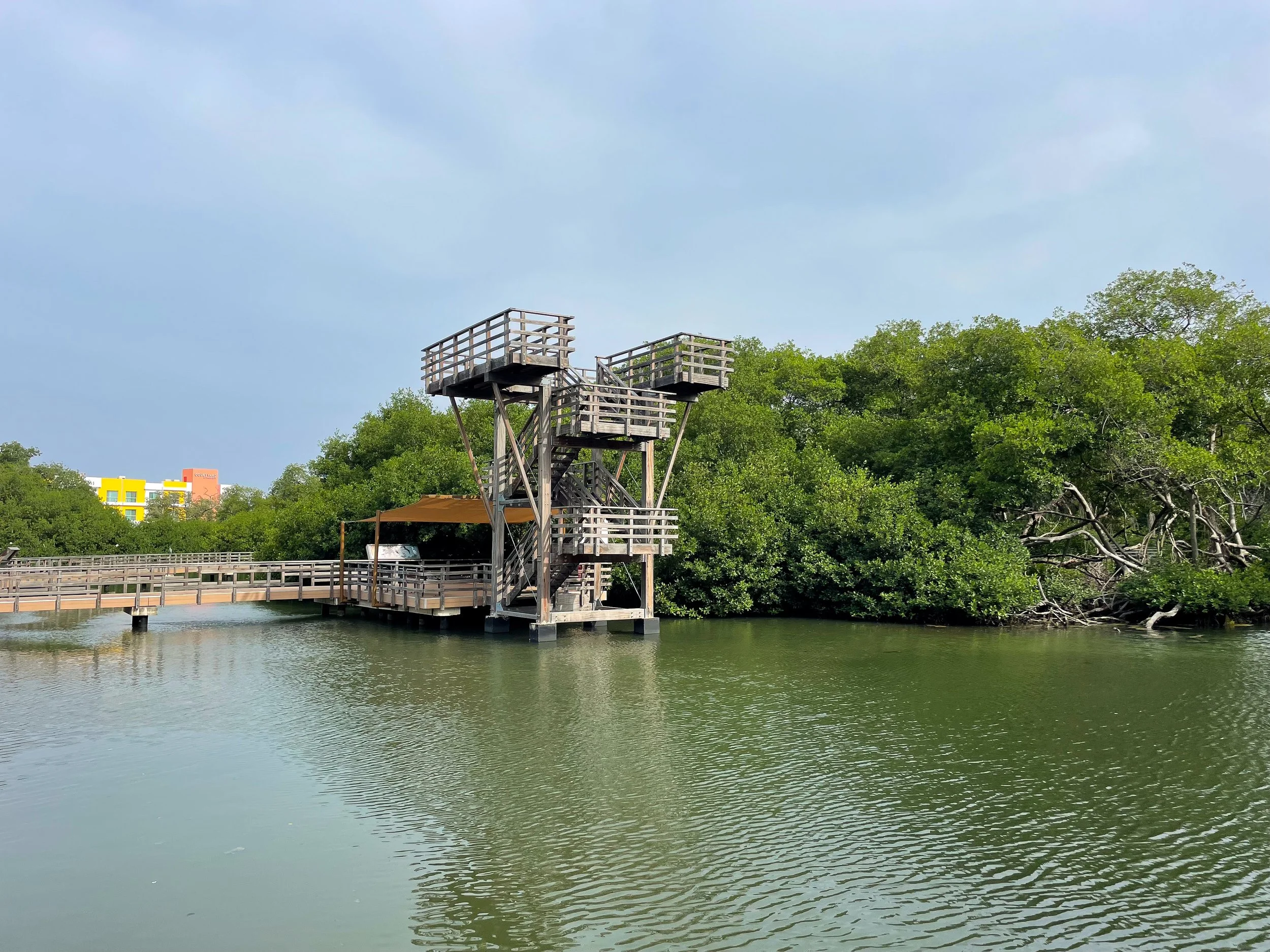 Curaçao_Rif_Mangrove_Park_05.jpg