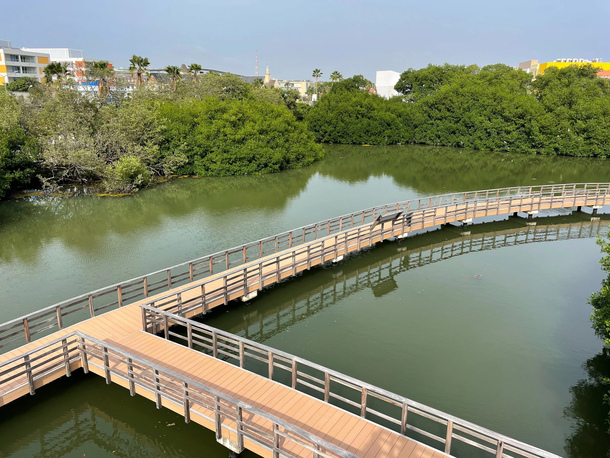 Curaçao_Rif_Mangrove_Park_06.jpg