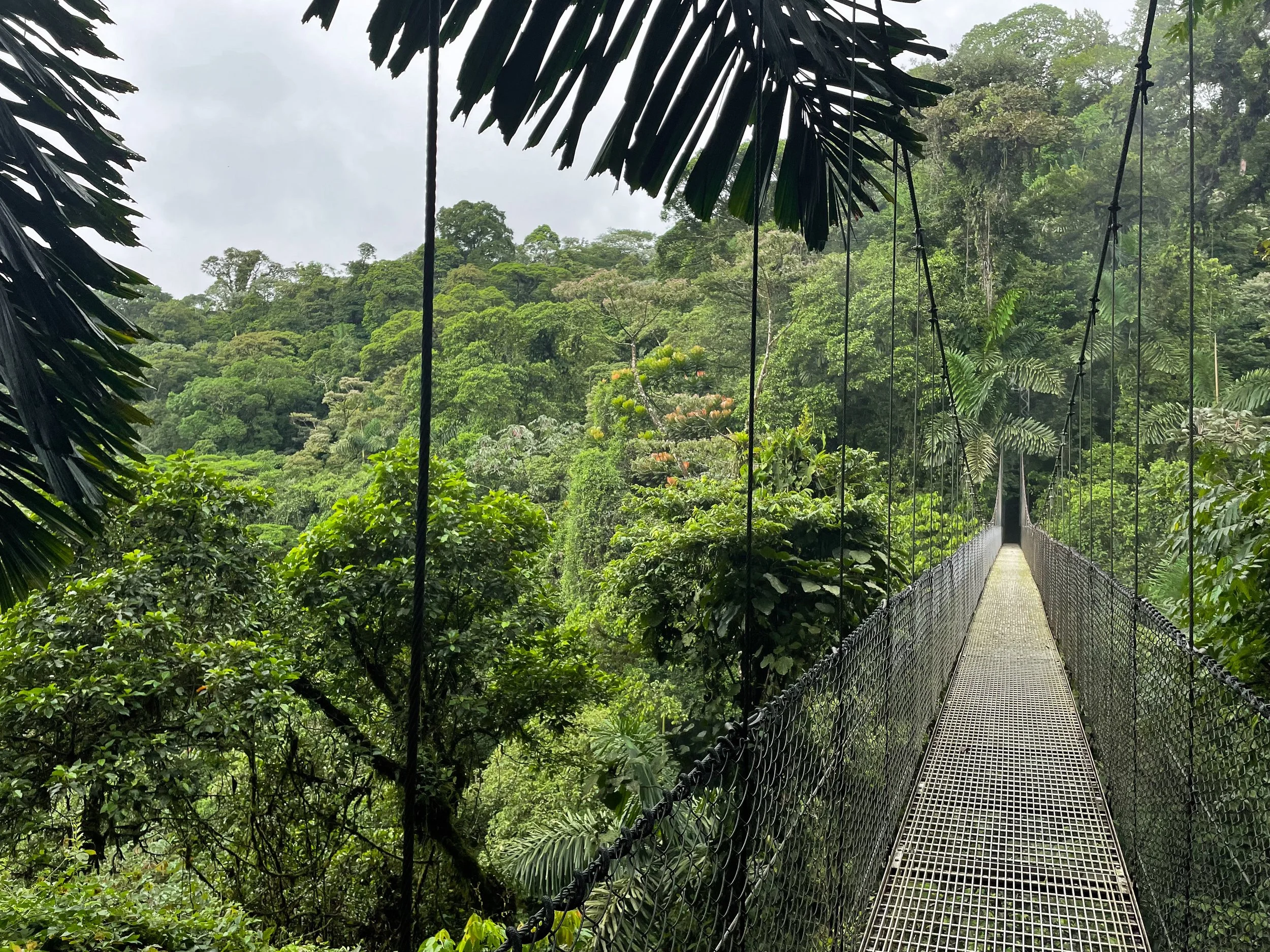 Mistico_Arenal_Hanging_Bridges_02.jpg